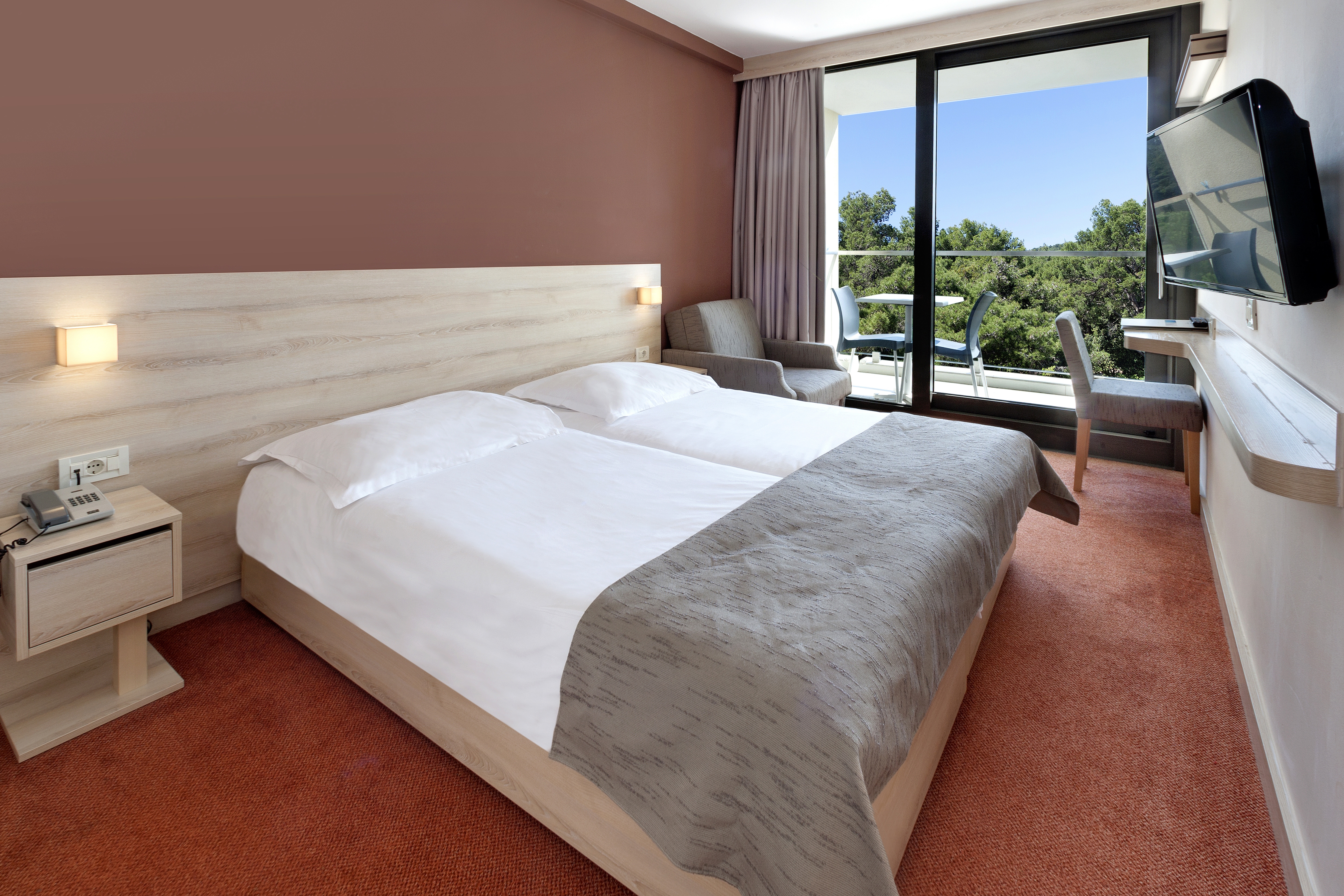 Double Park View with Balcony