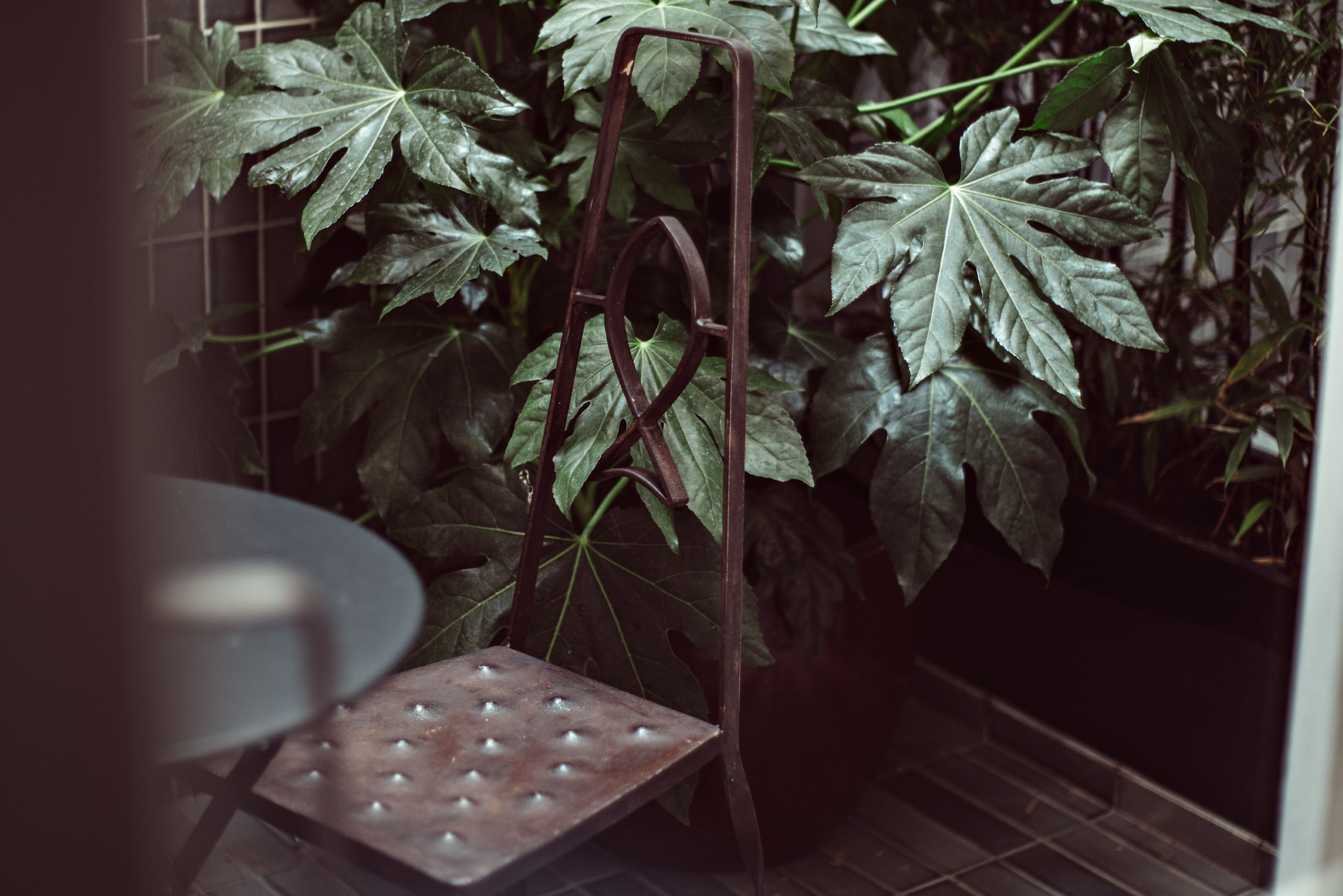 Double Superior with Terrace