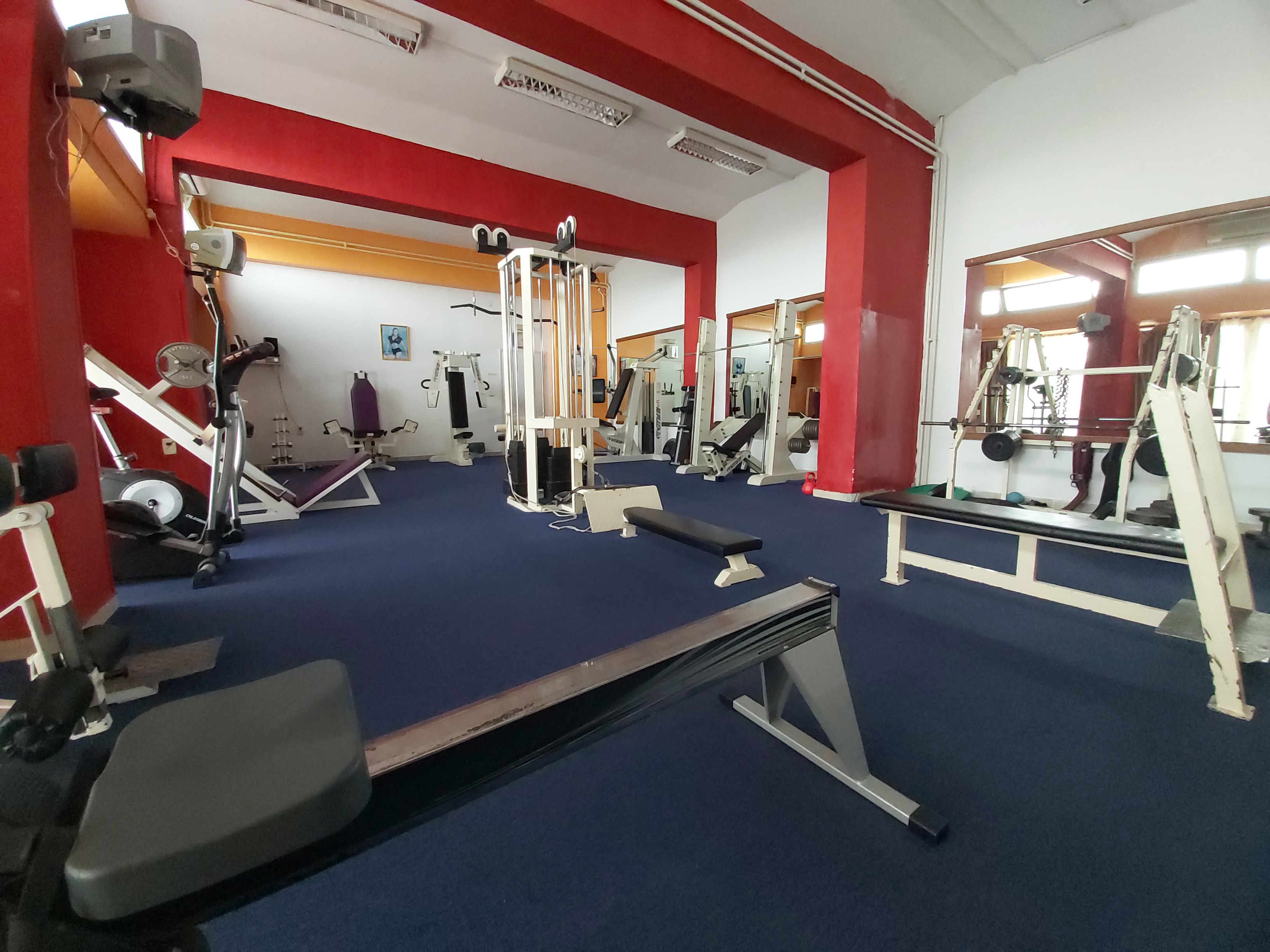 Sports and Entertainment