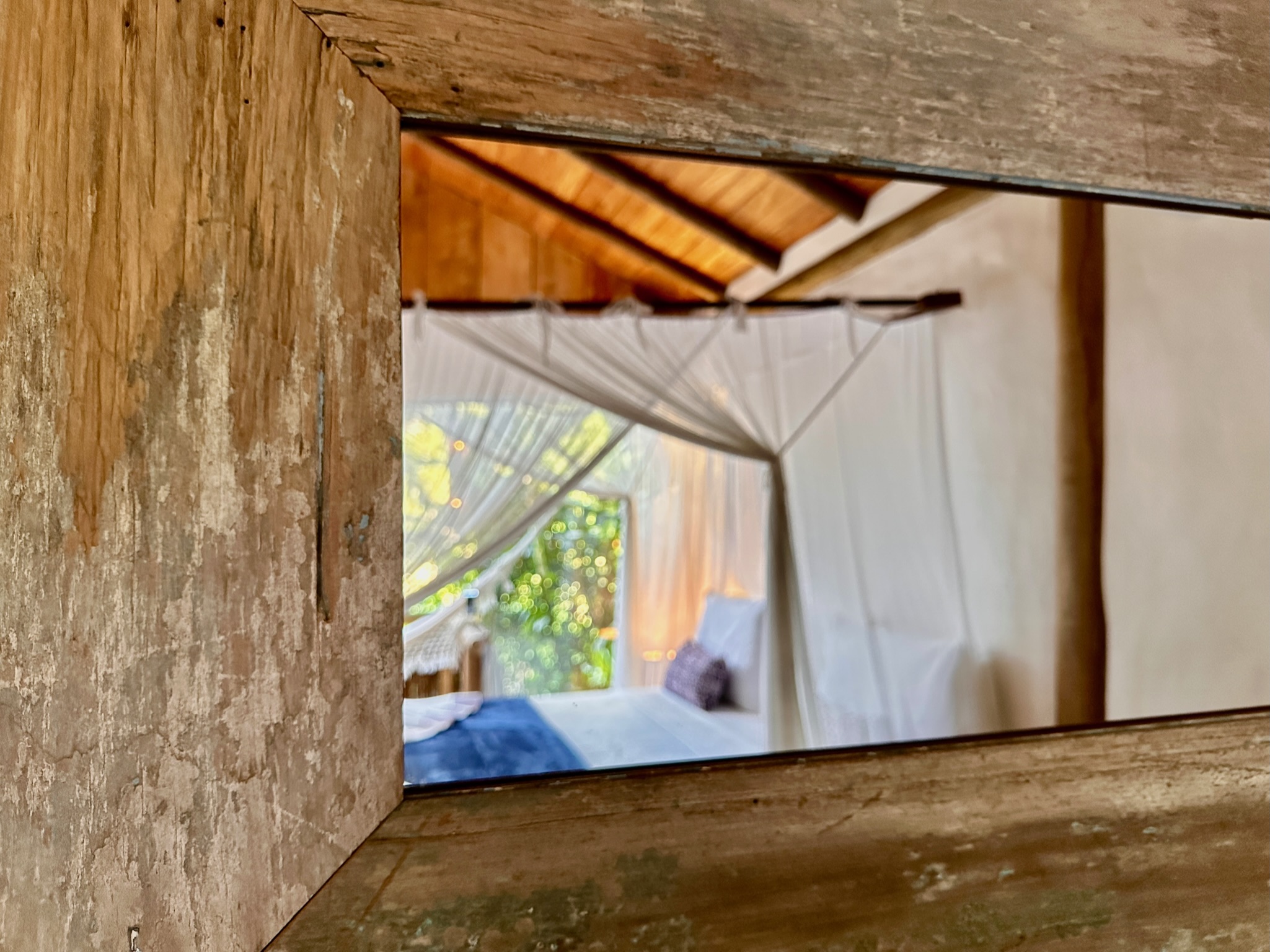 Family Room Two Double Beds Premium