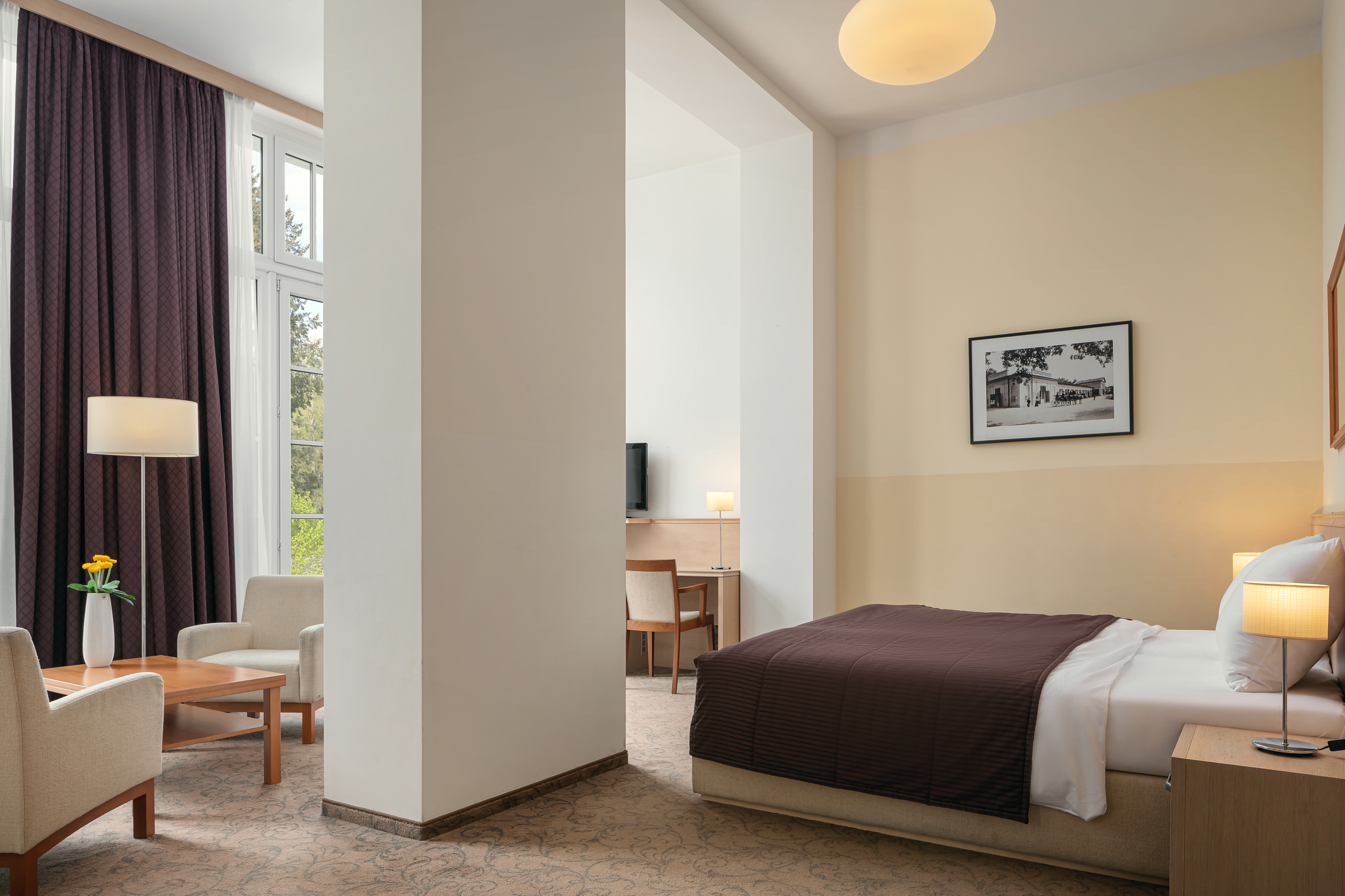 Junior Suite Park View