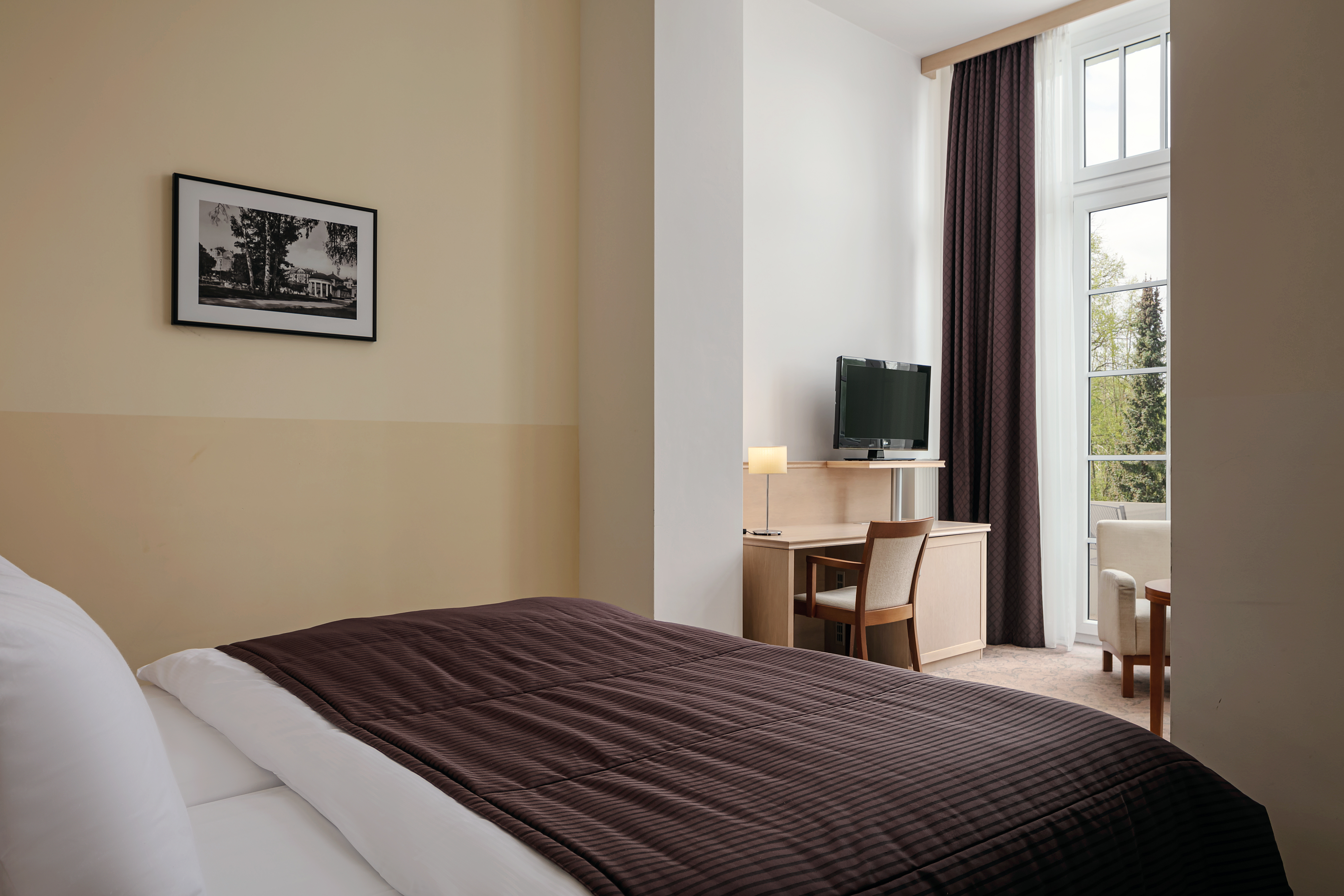 Junior Suite Park View