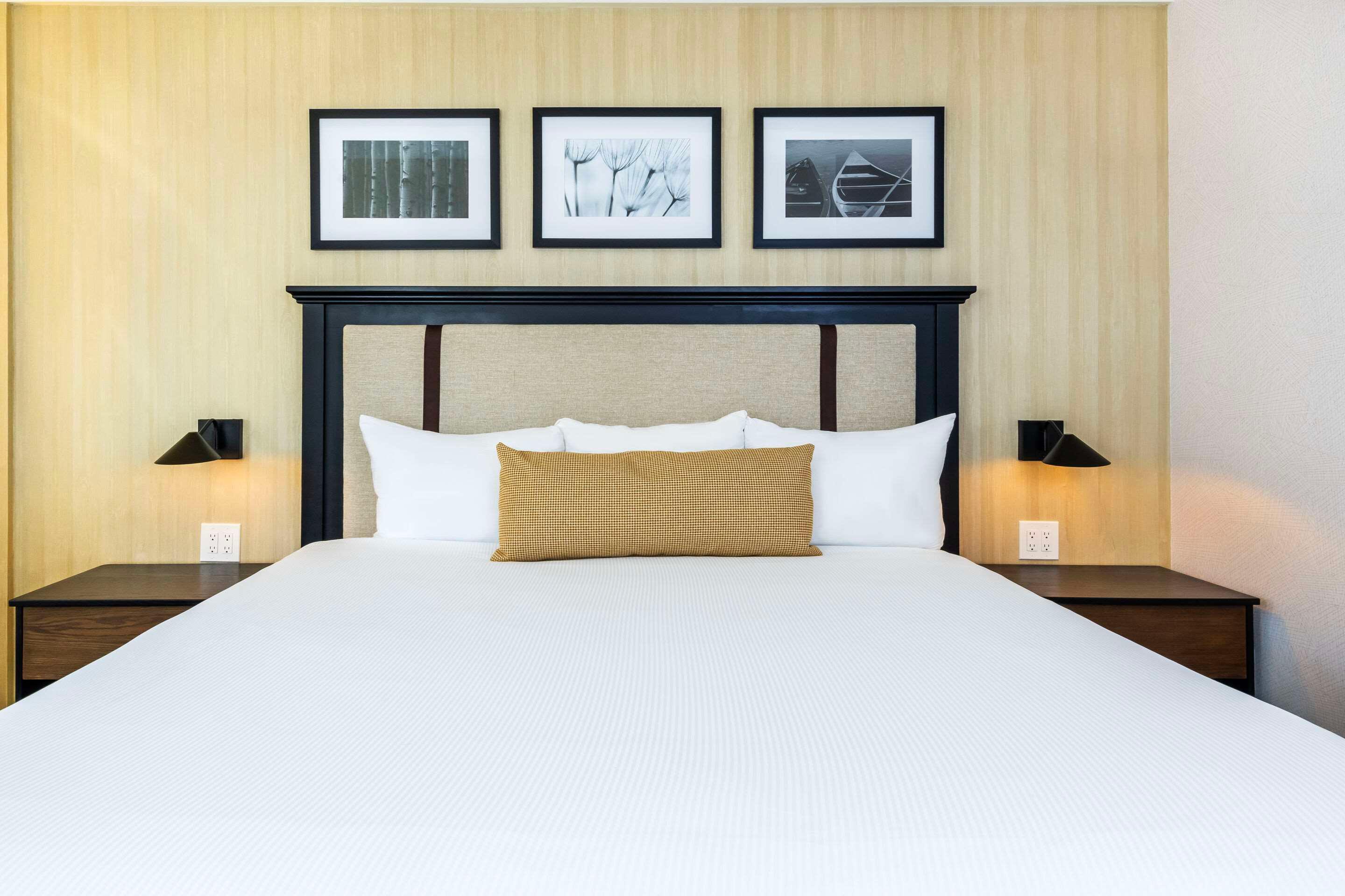 Double King Bed Non Smoking