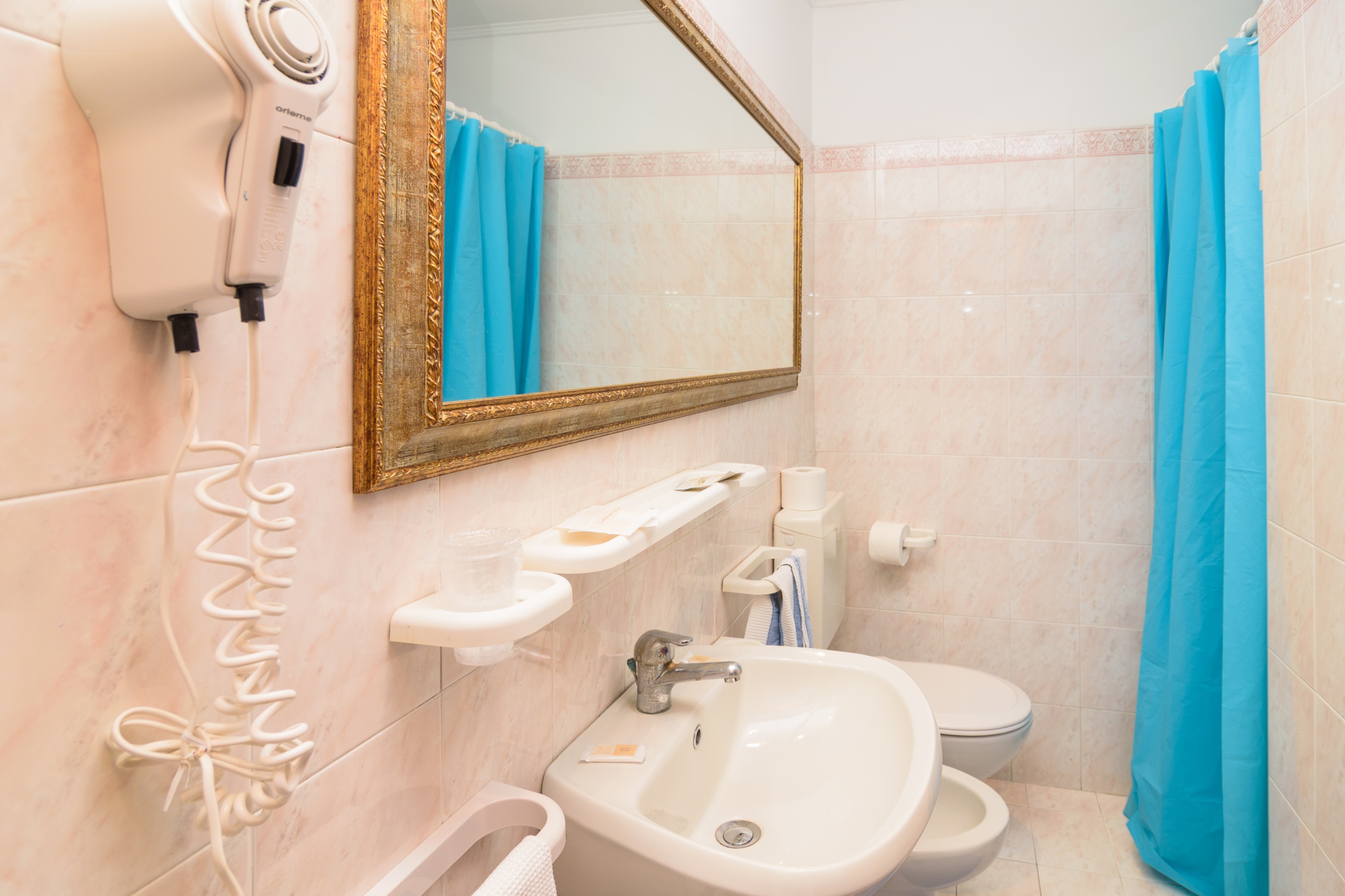 Double or Twin Economy