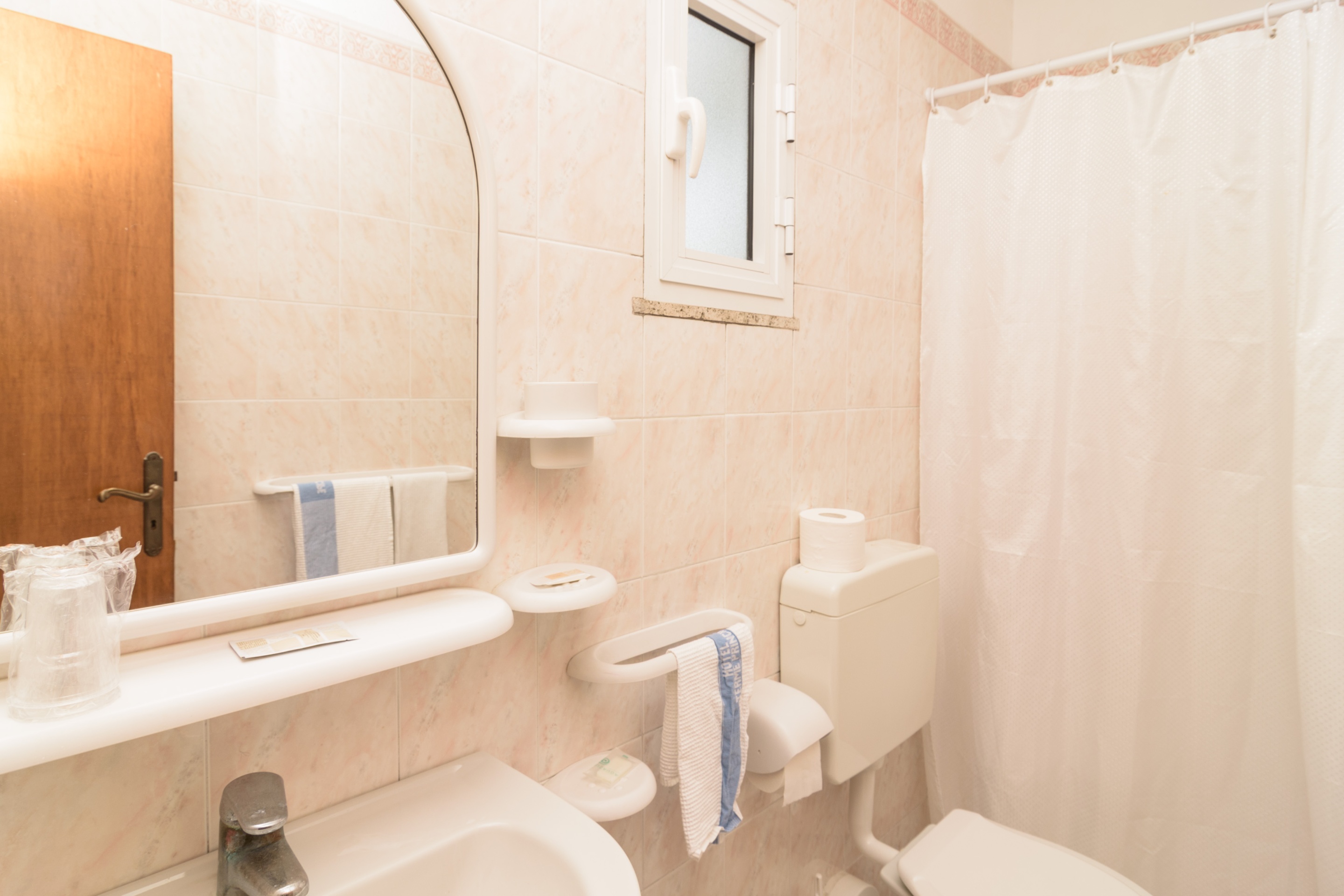 Double or Twin Economy