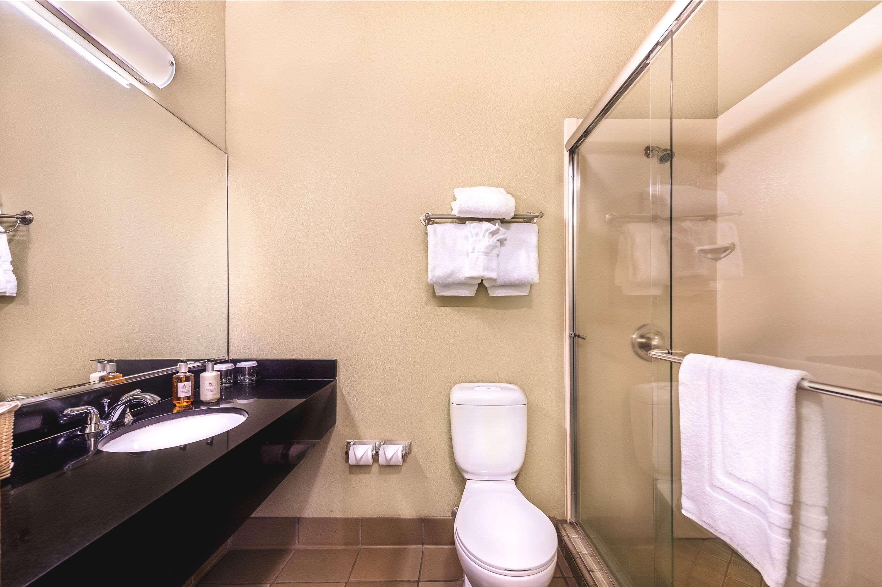 Quadruple Two Queen Beds Non Smoking