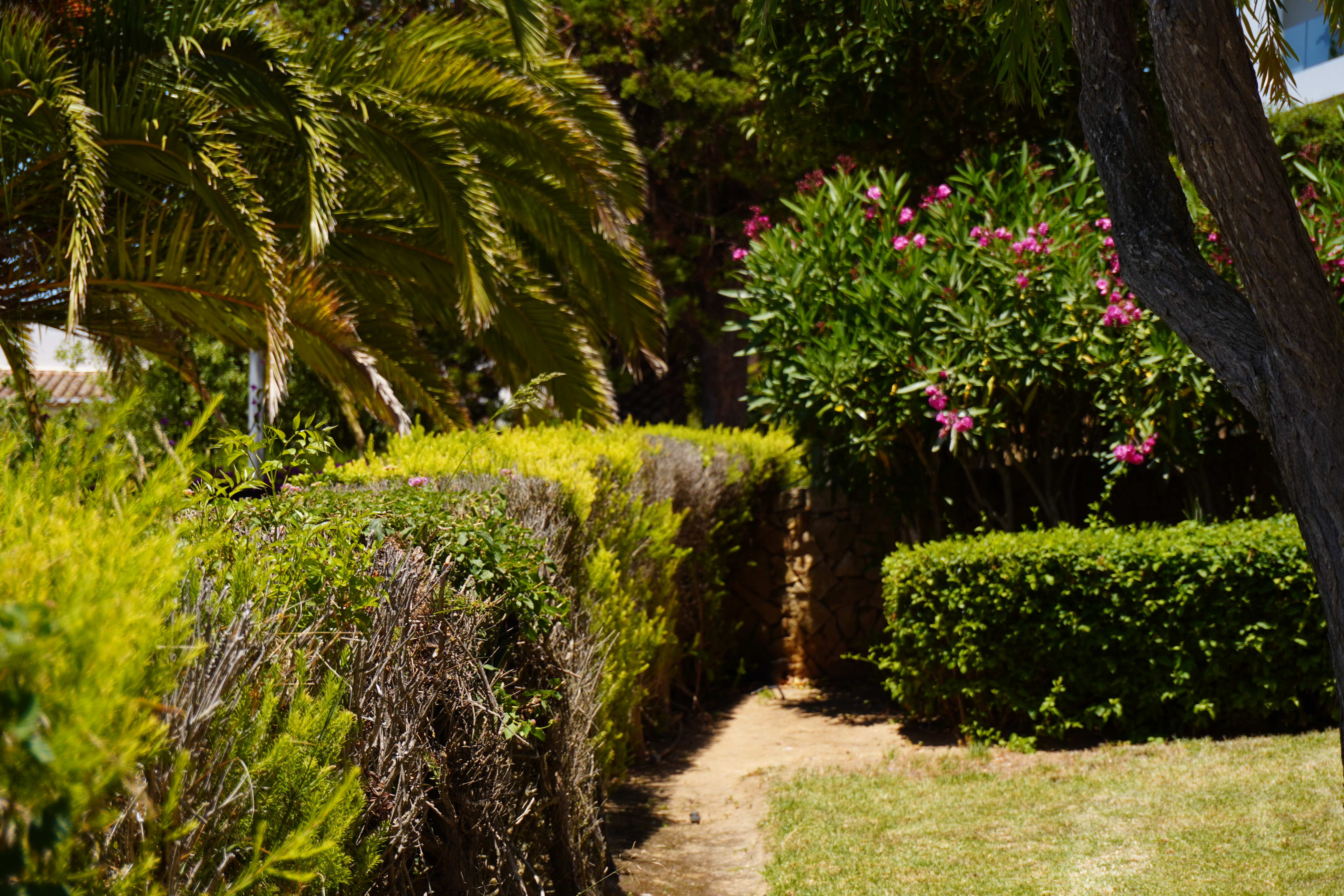 Apartment Garden View One Bedroom