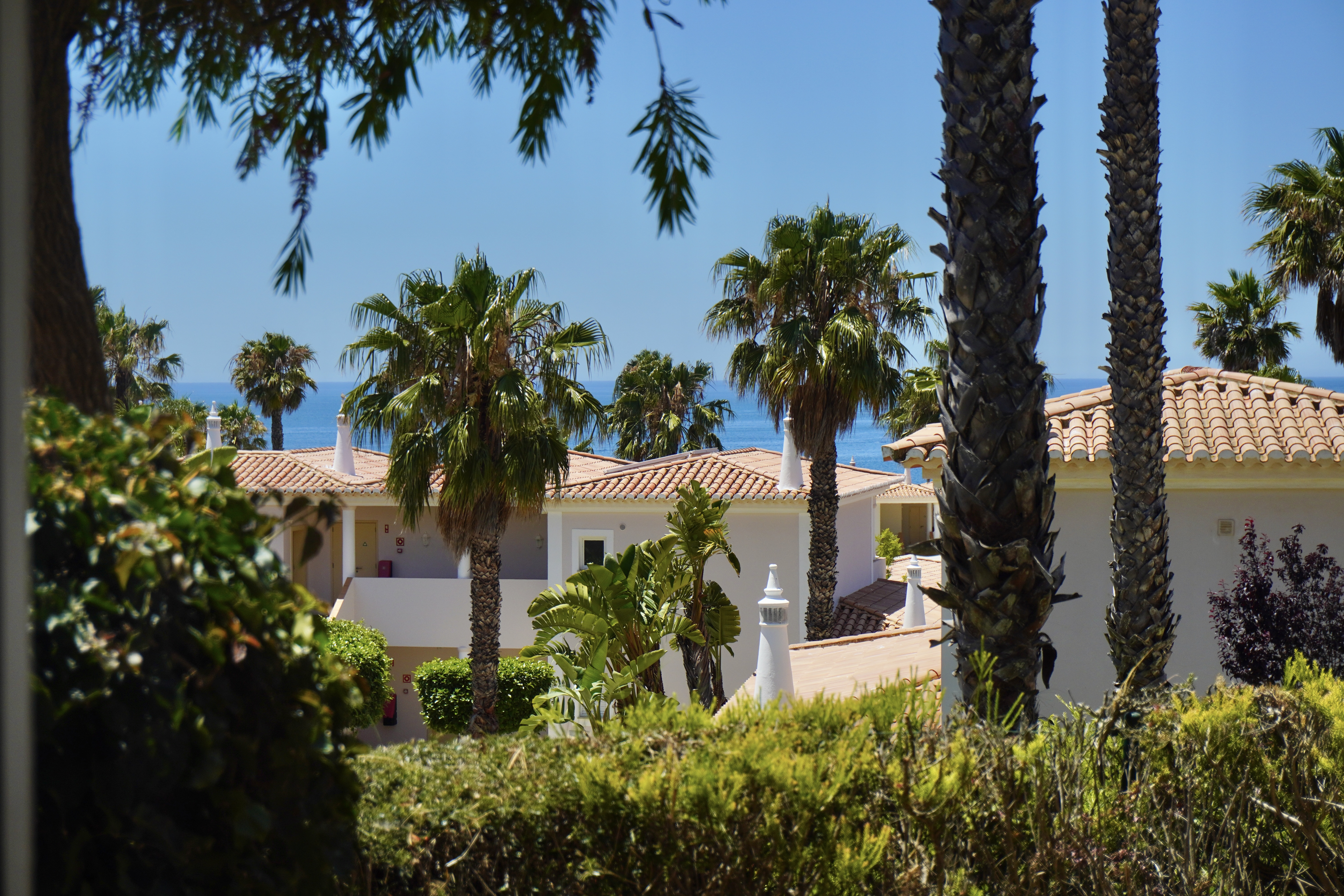 Apartment Partial Ocean View One Bedroom