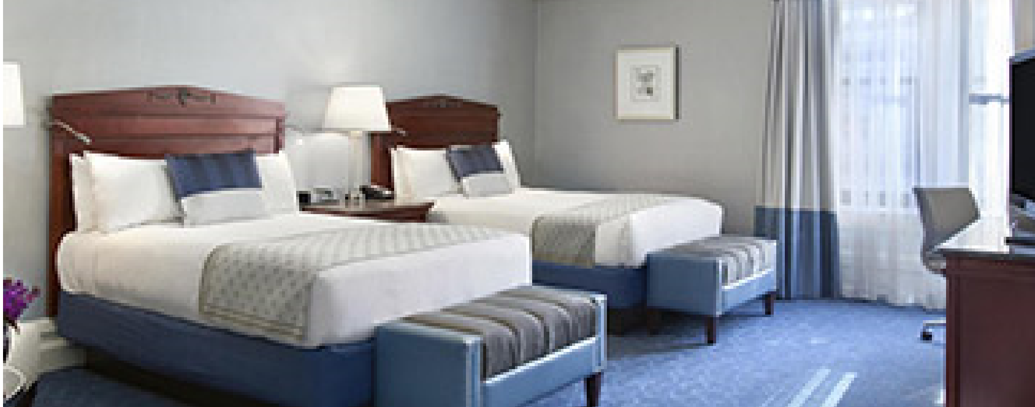 Double Deluxe Two Double Beds