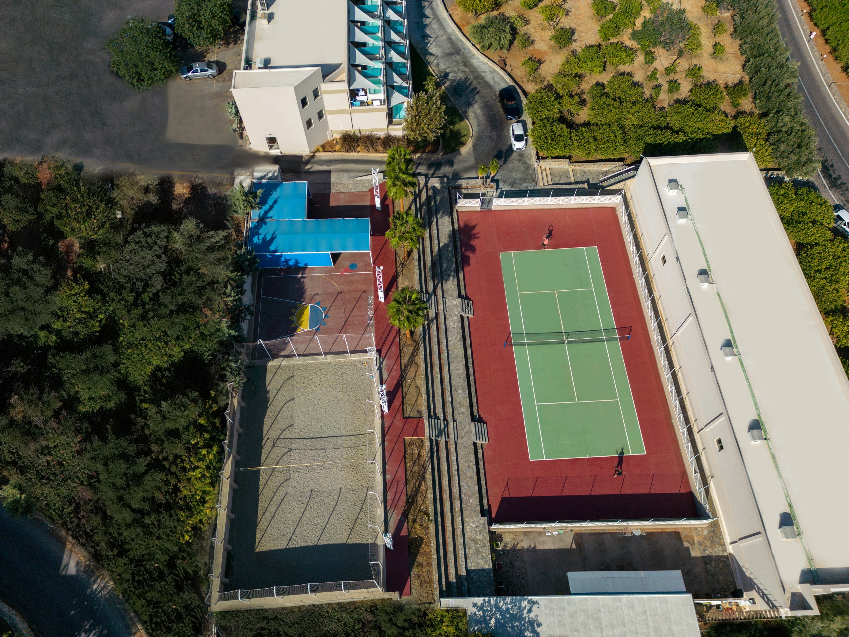 Sports and Entertainment