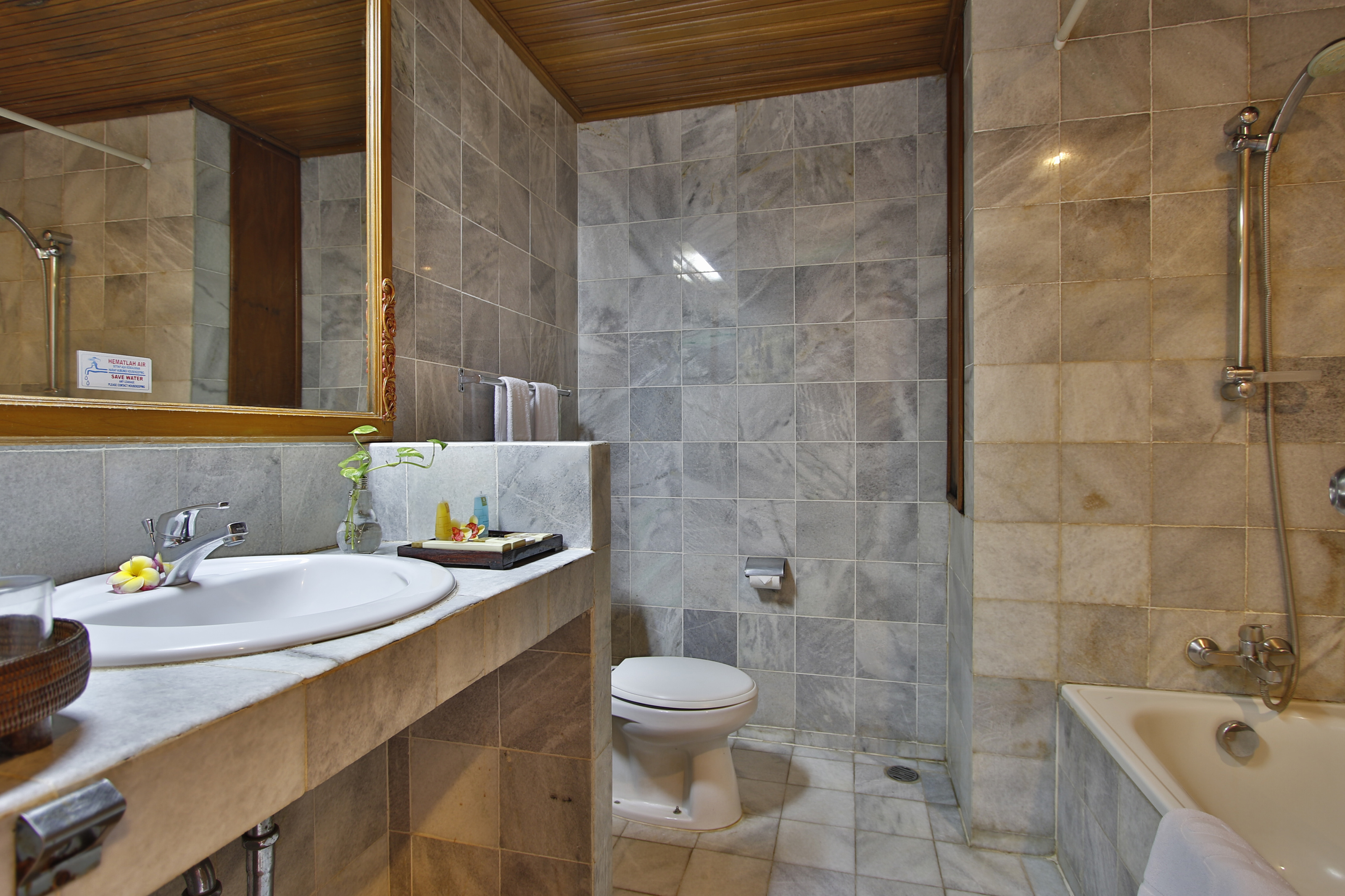 Double or Twin Standard