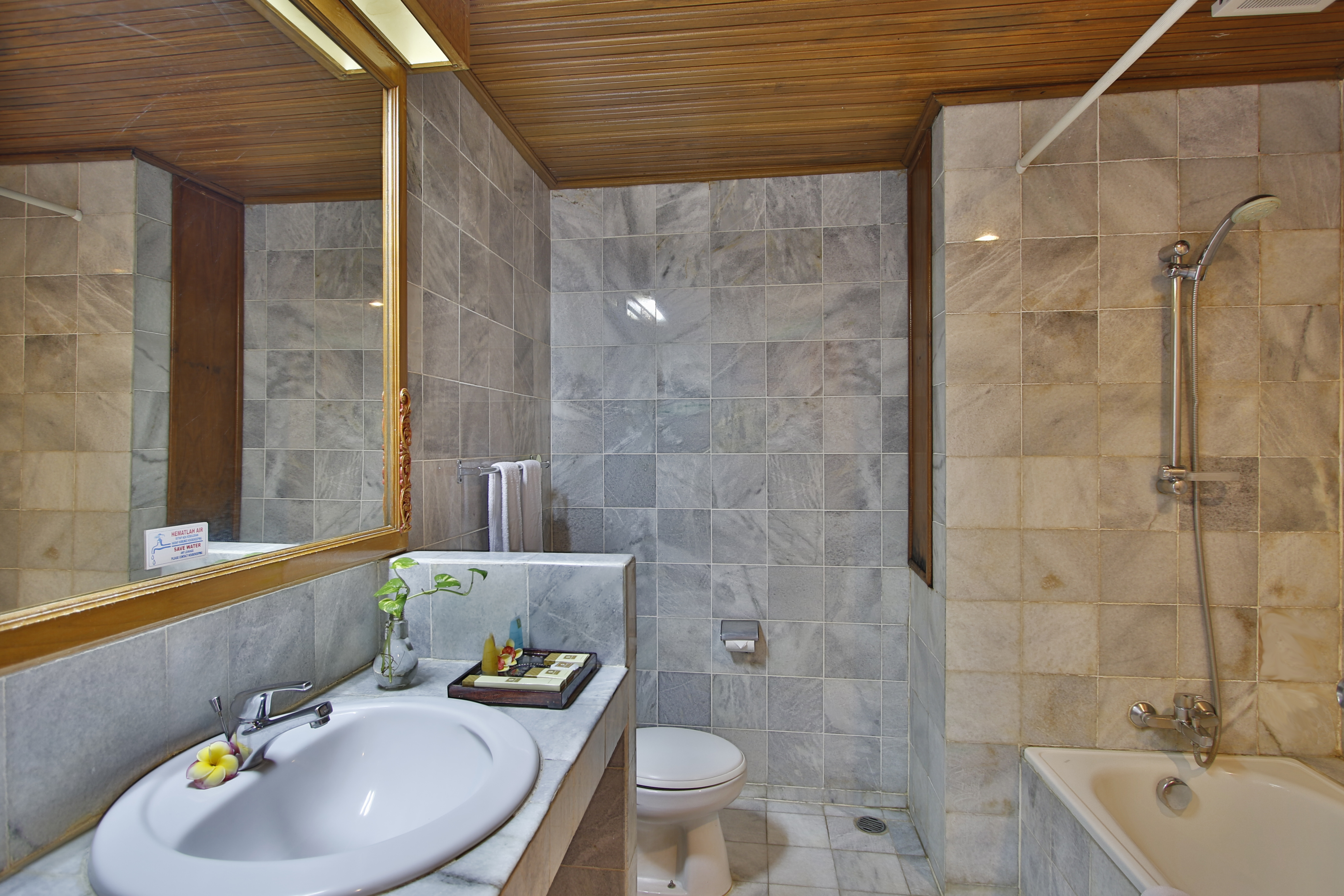 Double or Twin Standard