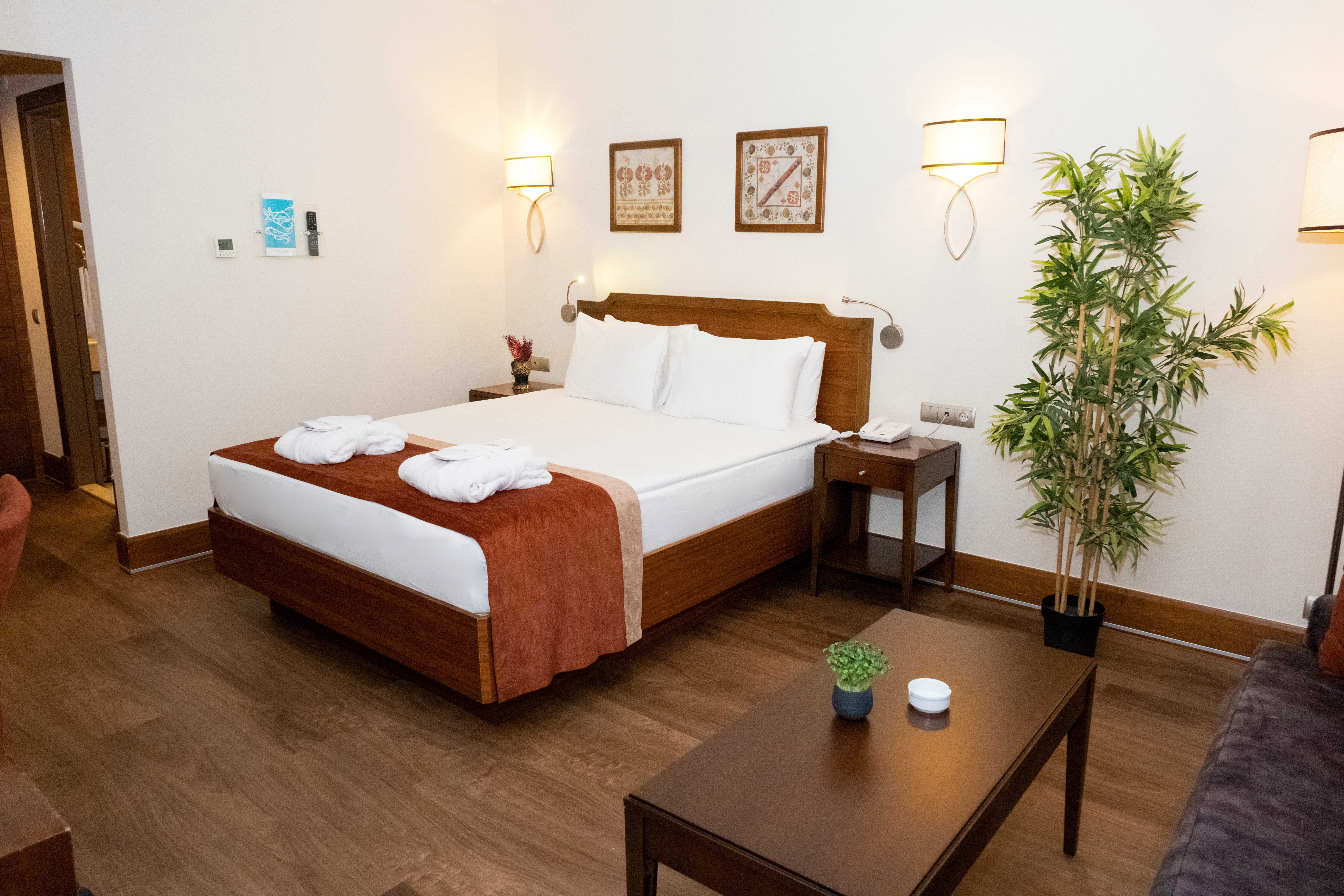 Room Executive King Bed