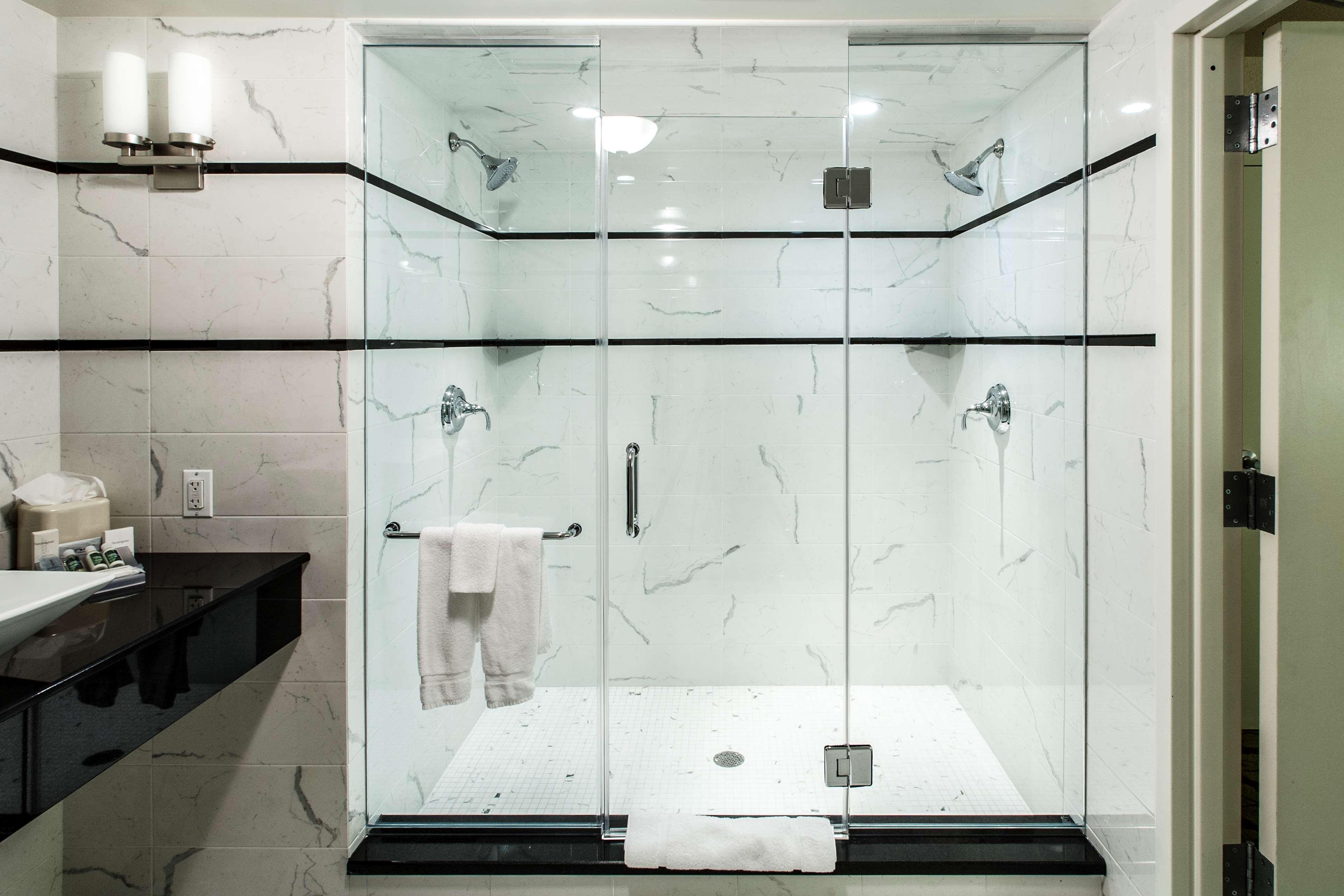 Suite King Bed One Bedroom 