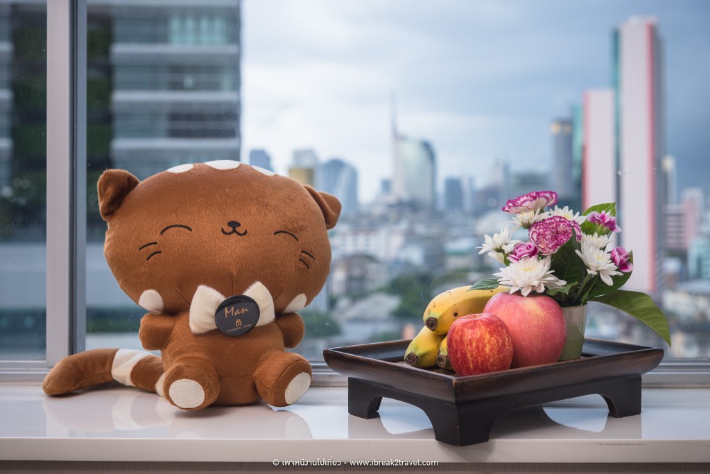 Double or Twin Premier