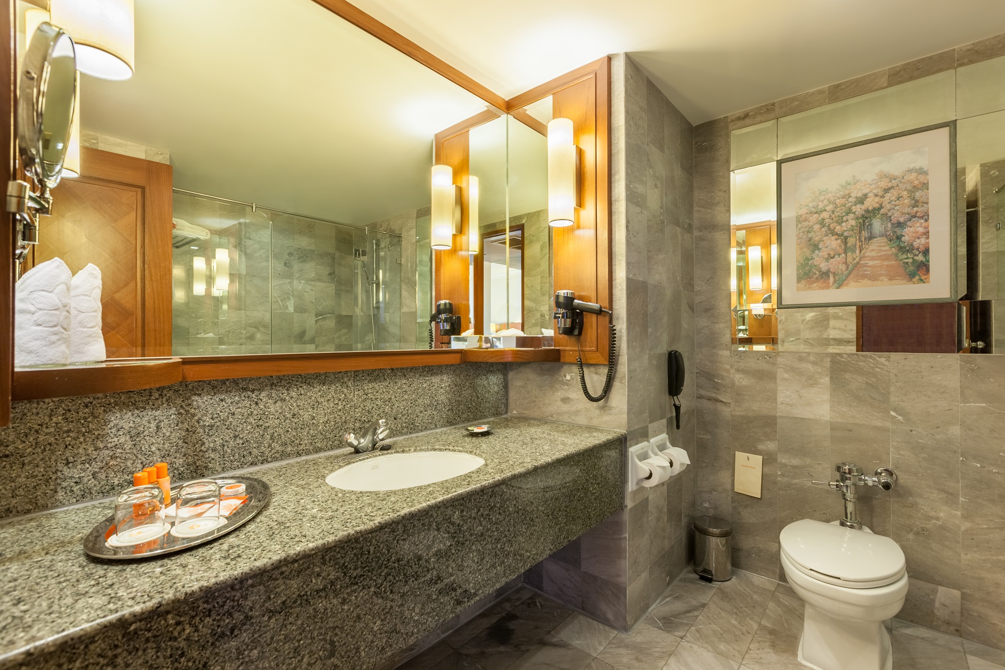 Double or Twin Deluxe