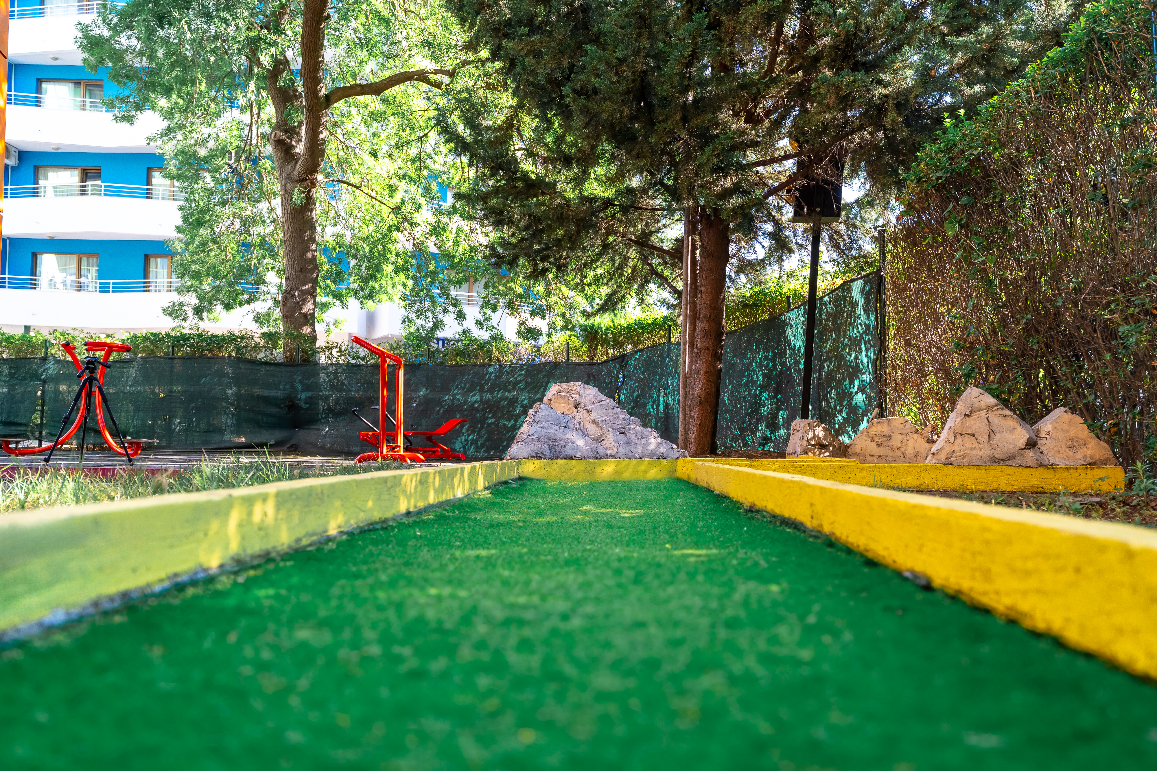 Sports and Entertainment