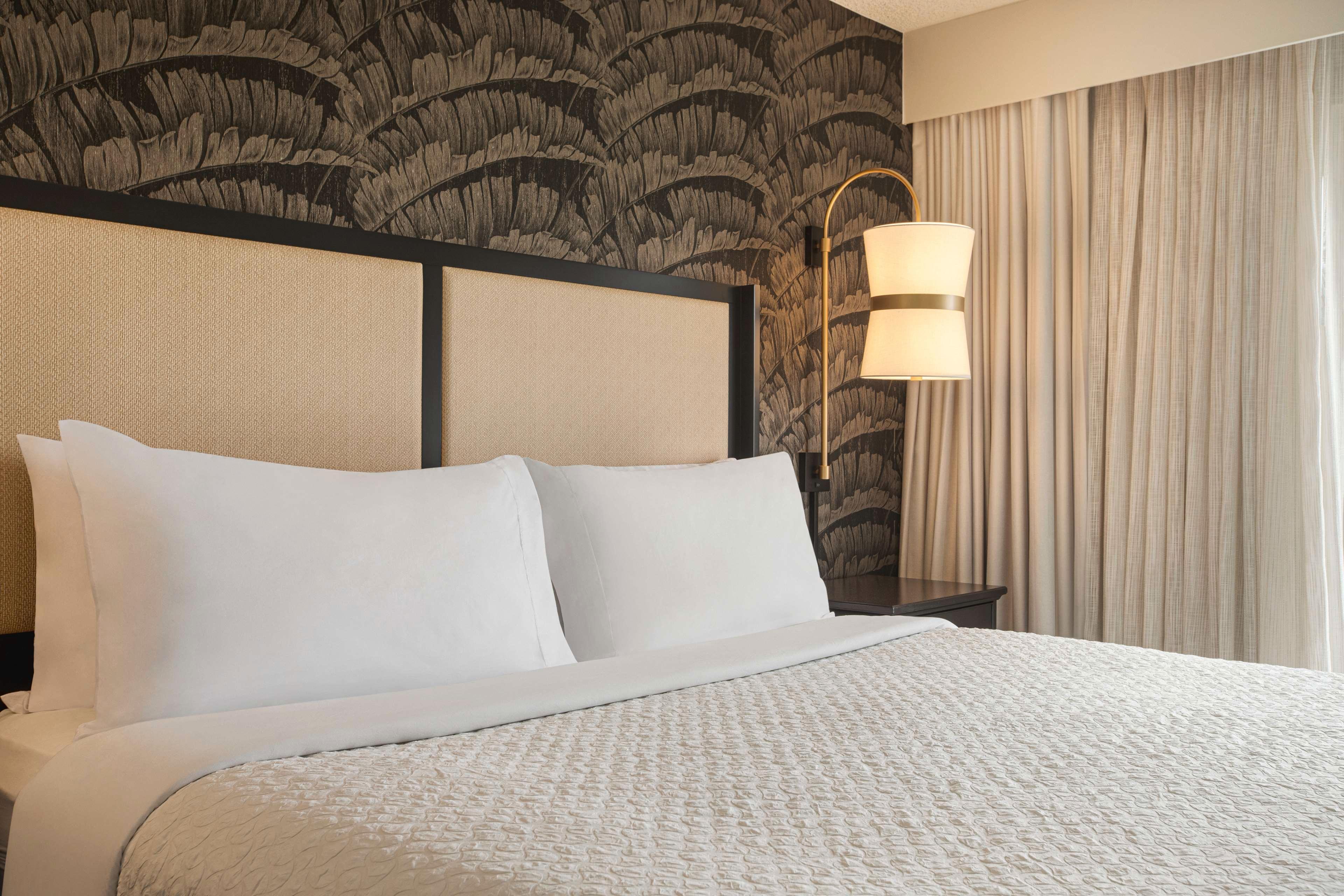 Suite King Bed Non Smoking