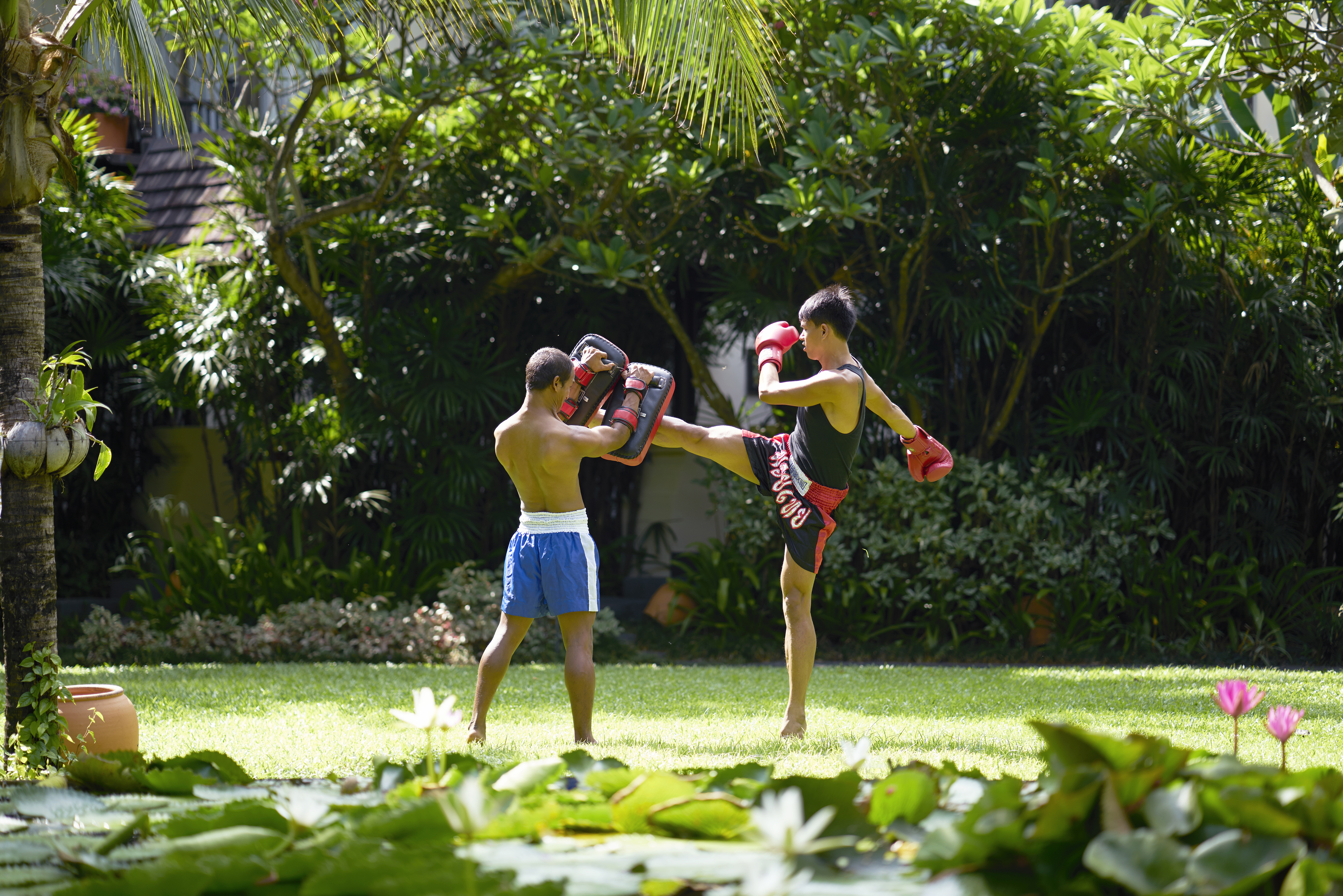 Sports and Entertainment