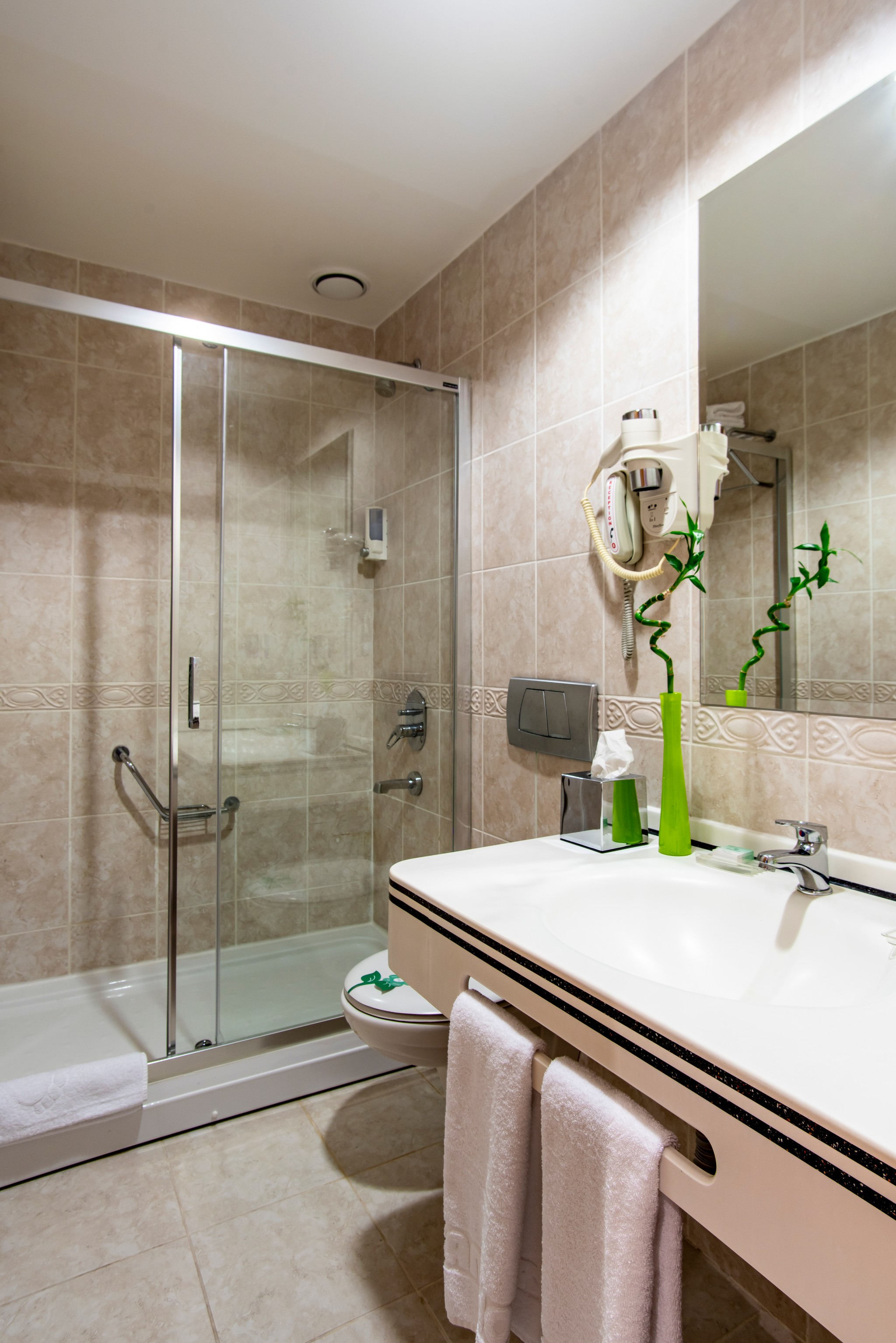 Family Room Standard