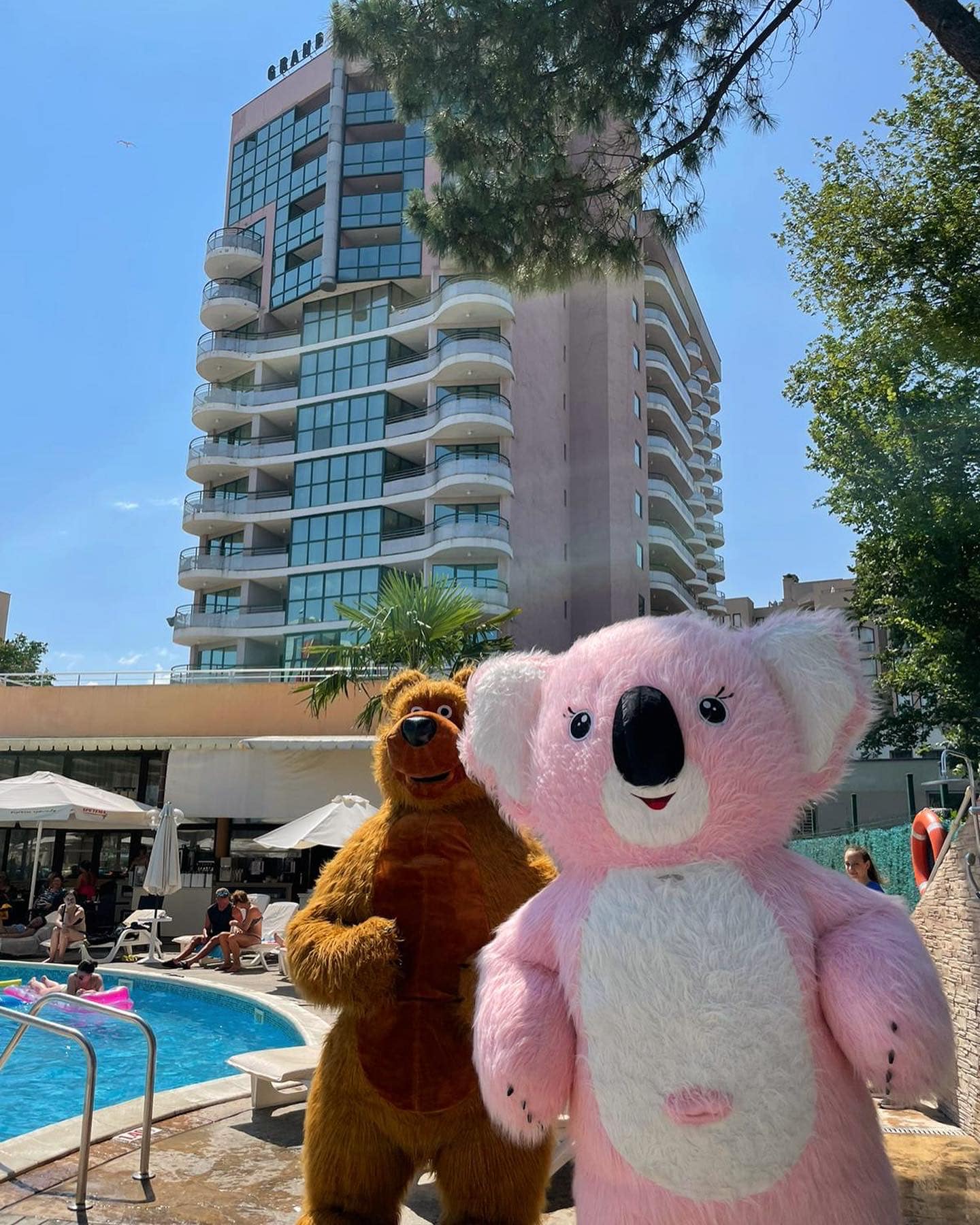 Sports and Entertainment