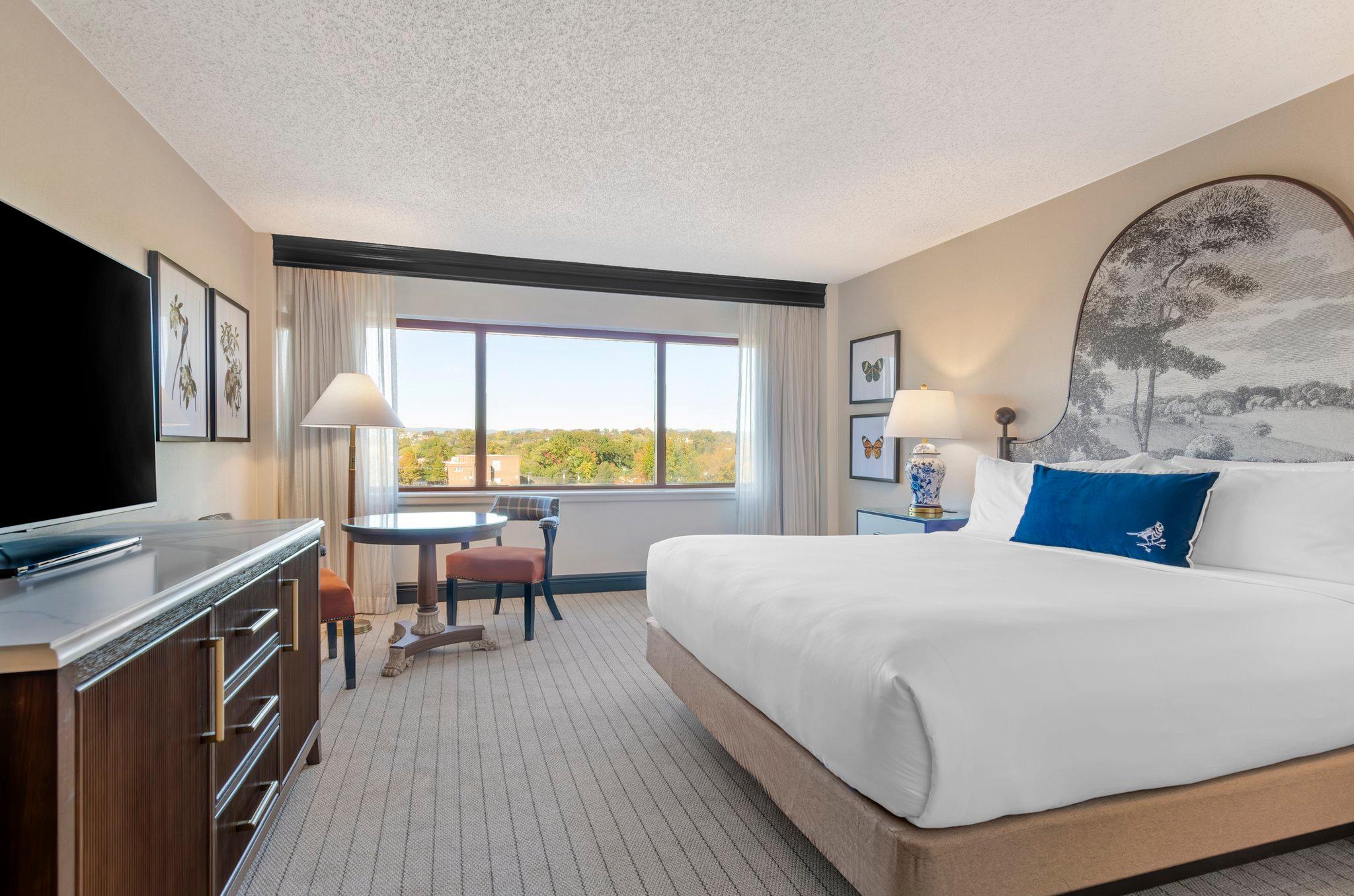 Double Accessible-queen Size Bed