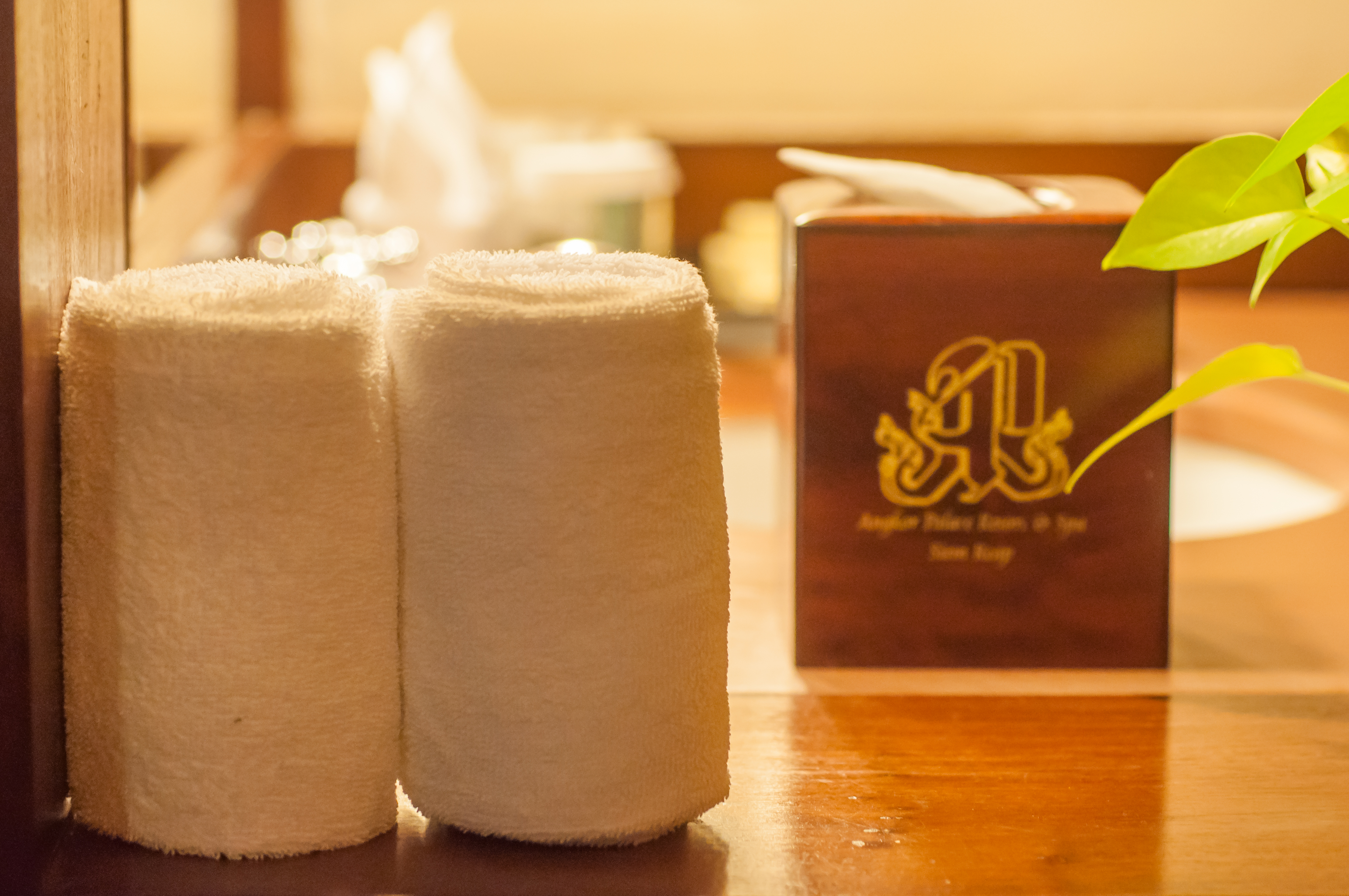 Double or Twin Deluxe