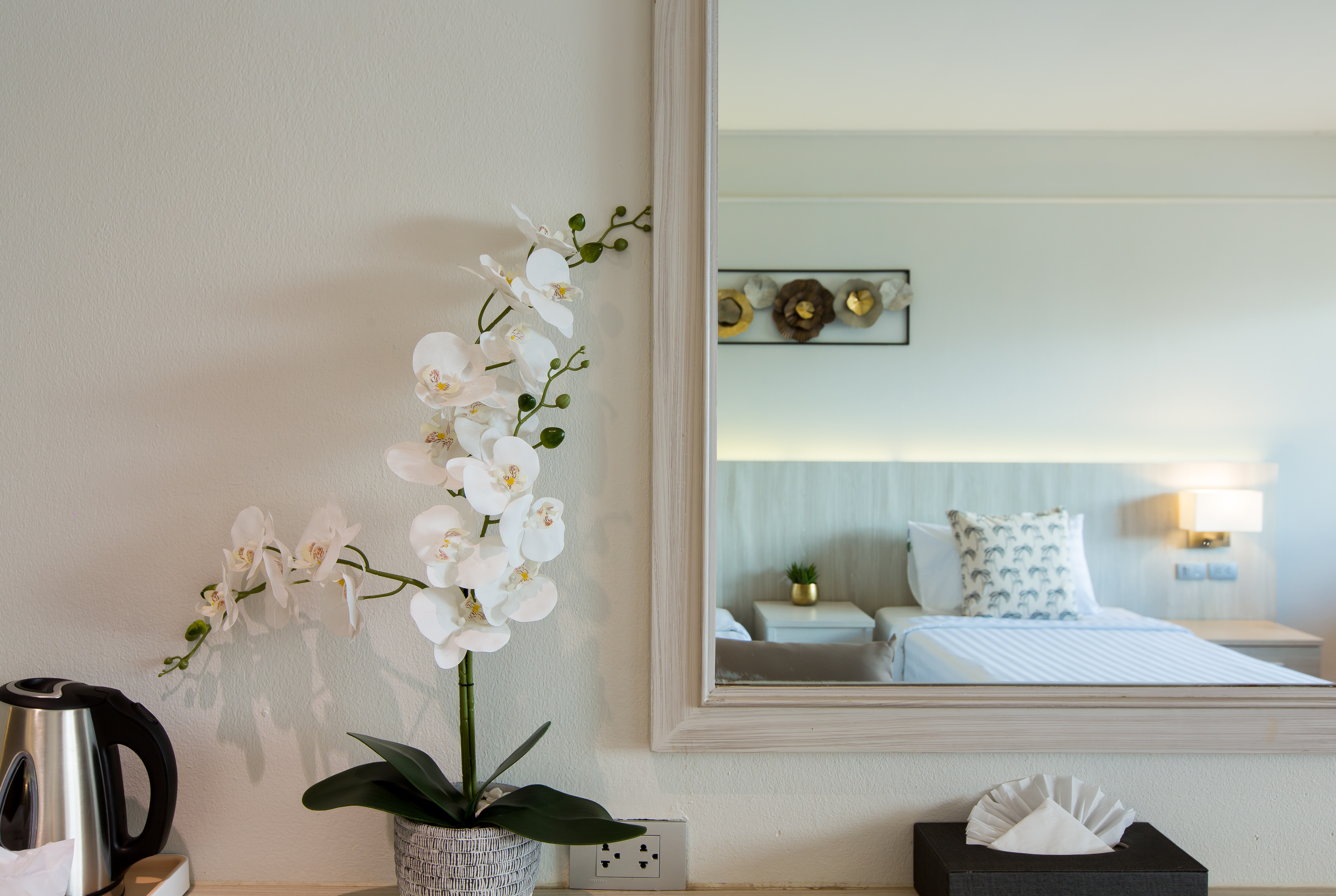 Double or Twin Standard