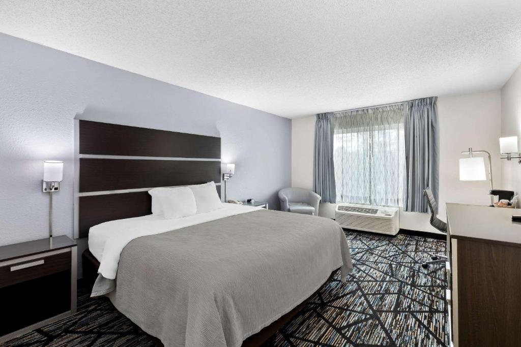 Double King Bed Non Smoking