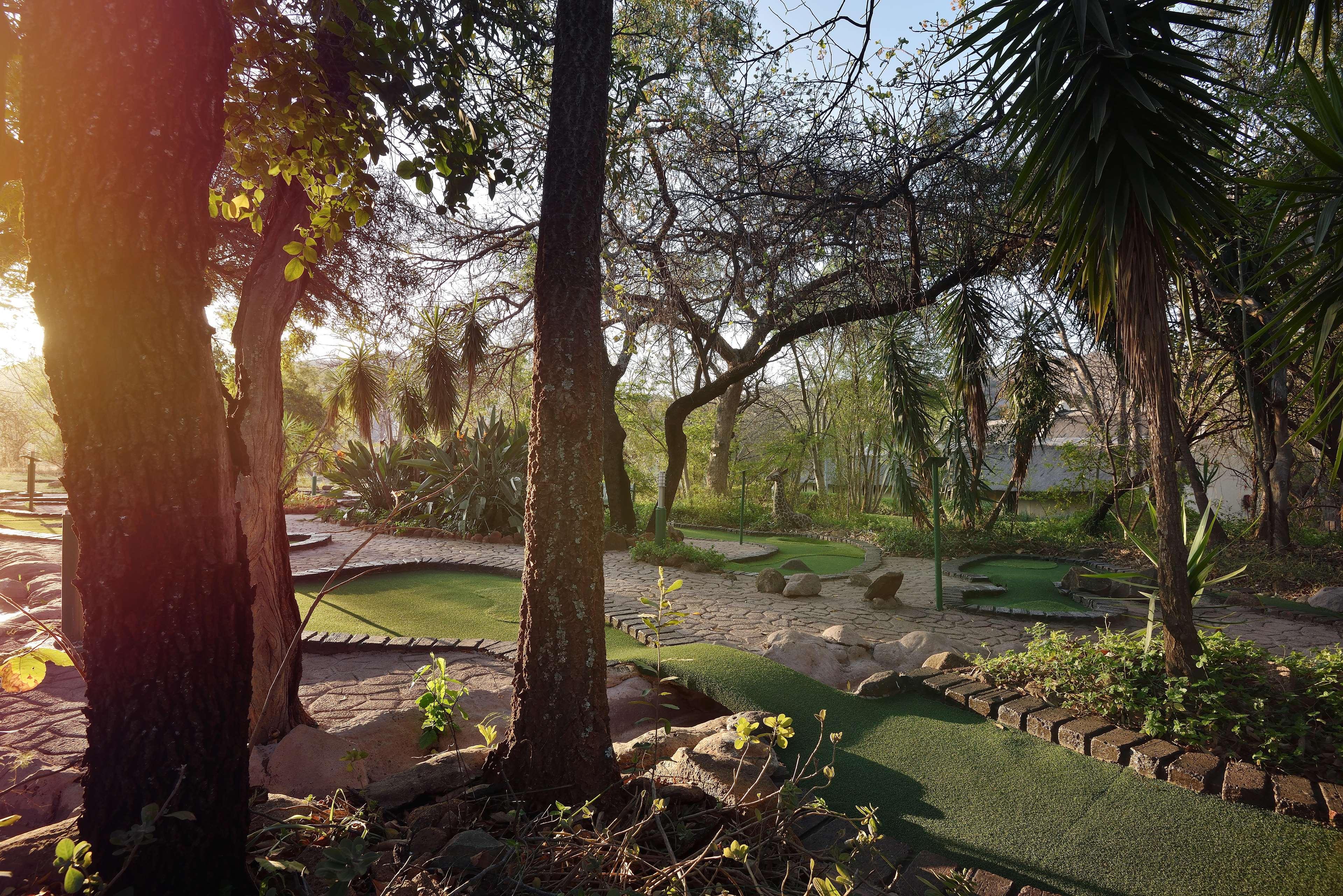 Sports and Entertainment