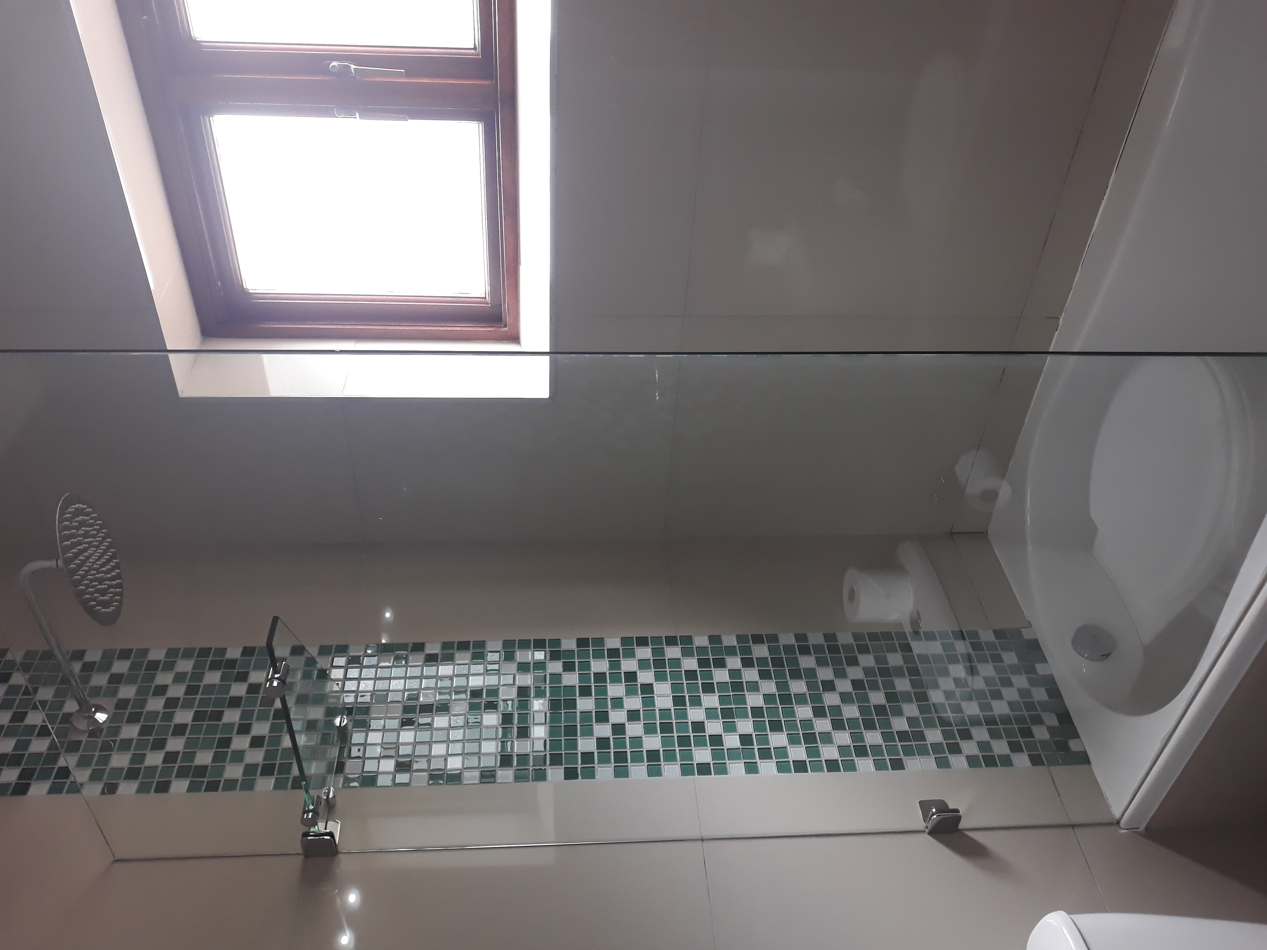 Family Room Bunk Bed