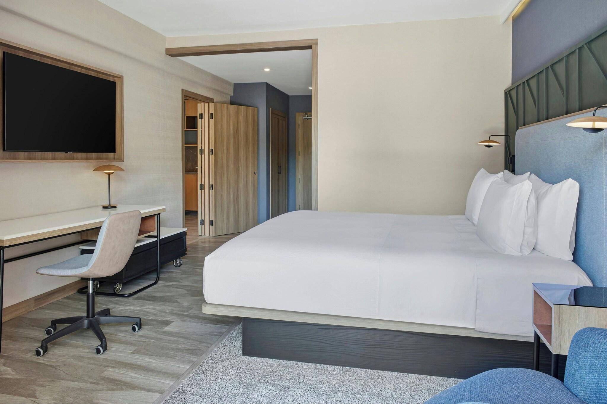 Suite King Bed Non Smoking