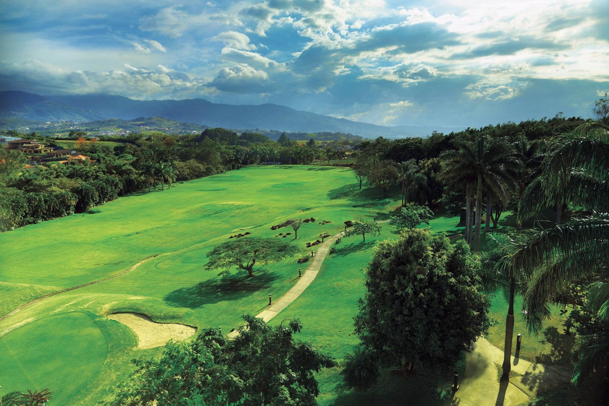 Suite King Bed One Bedroom 