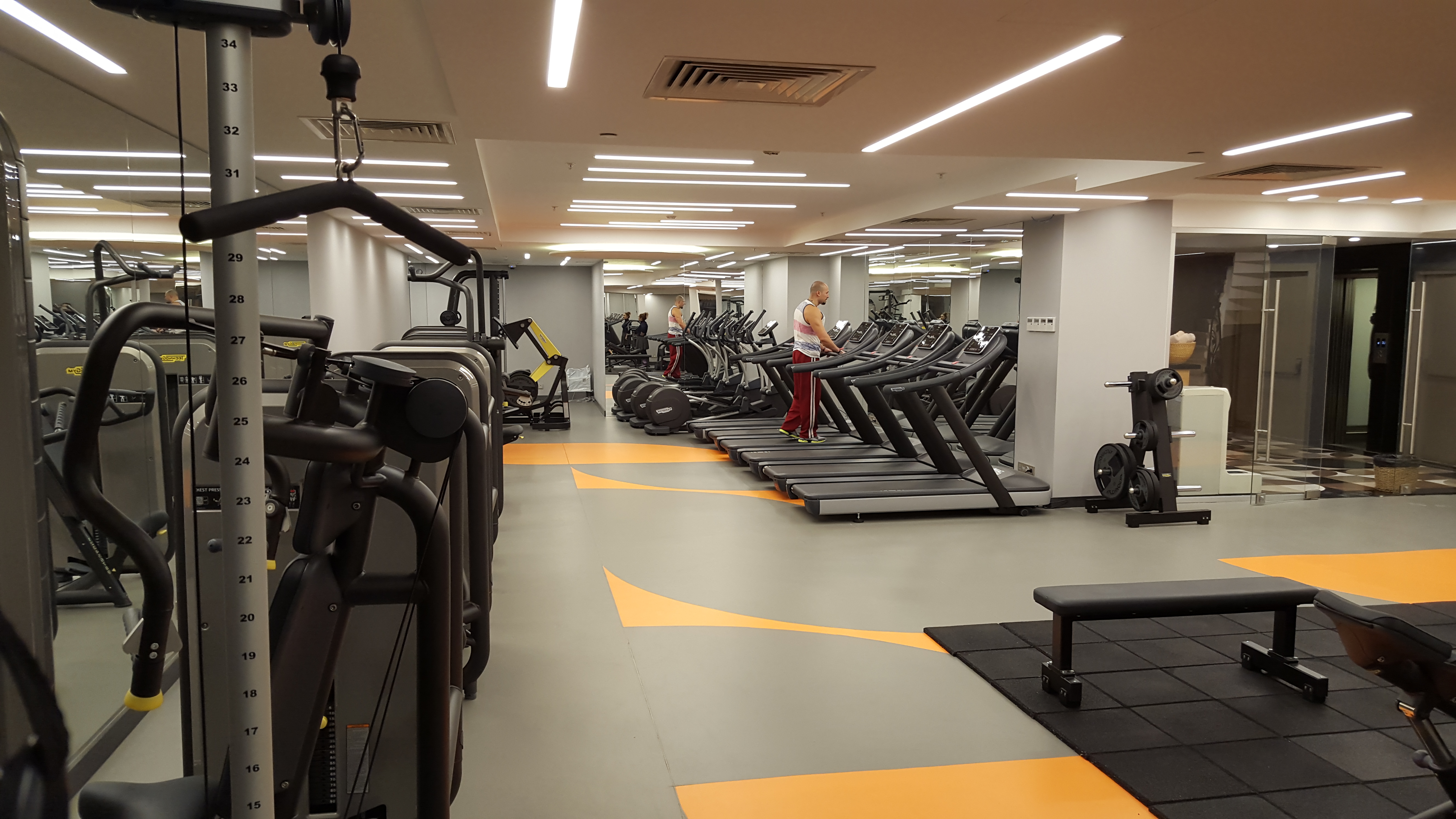 Sports and Entertainment