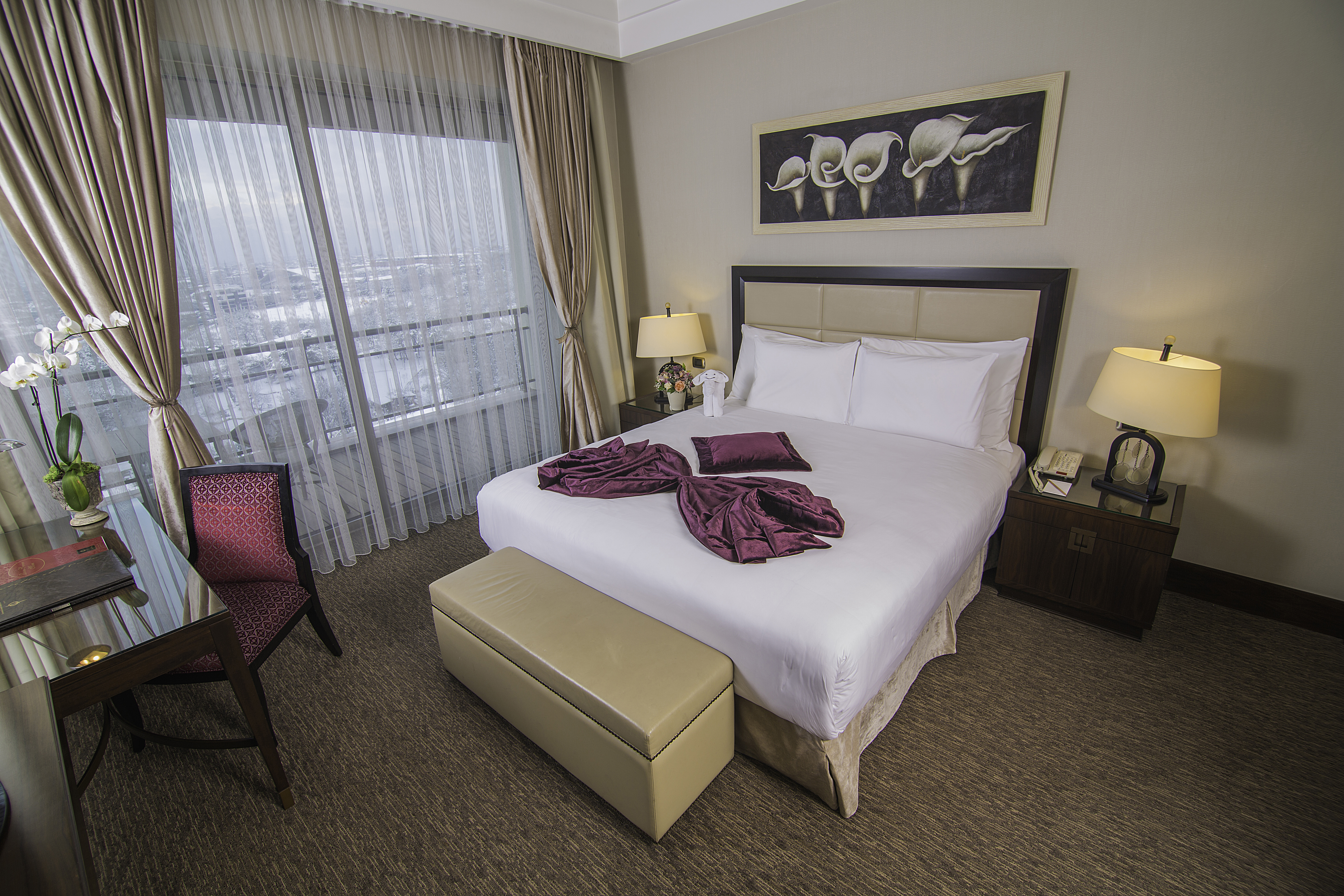 Double or Twin Superior