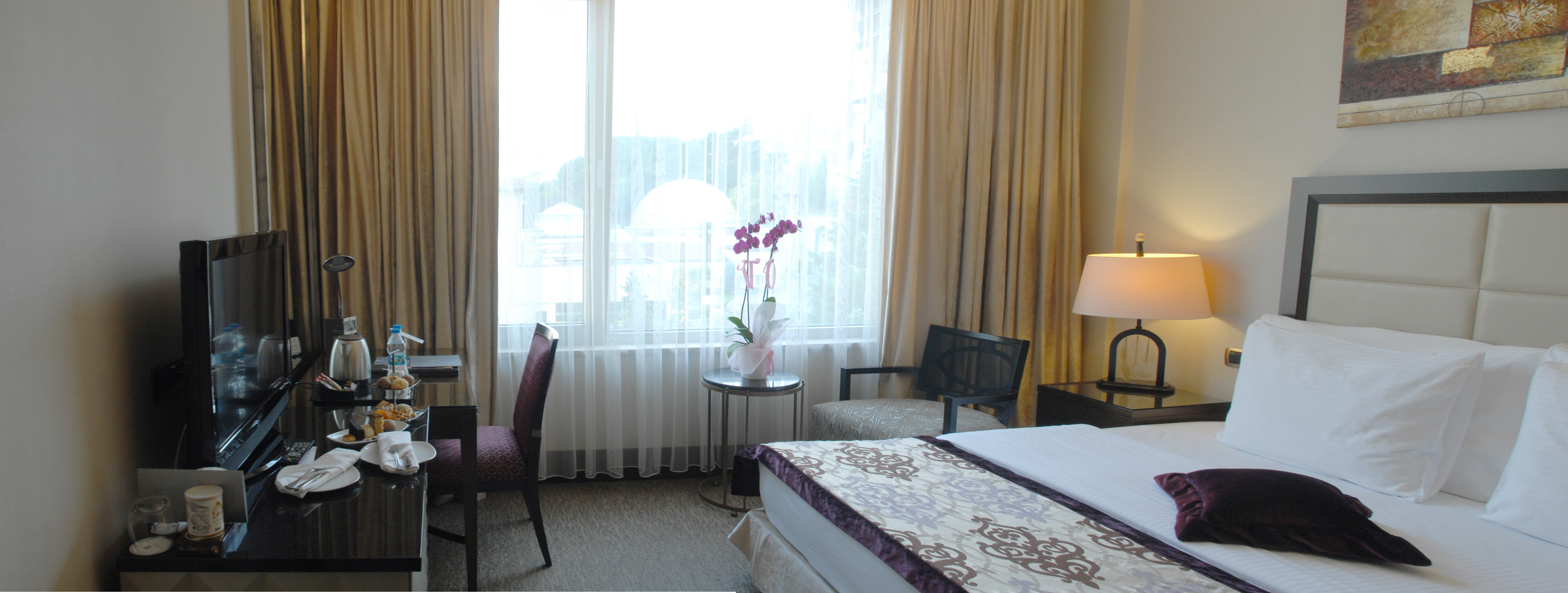 Double or Twin Superior