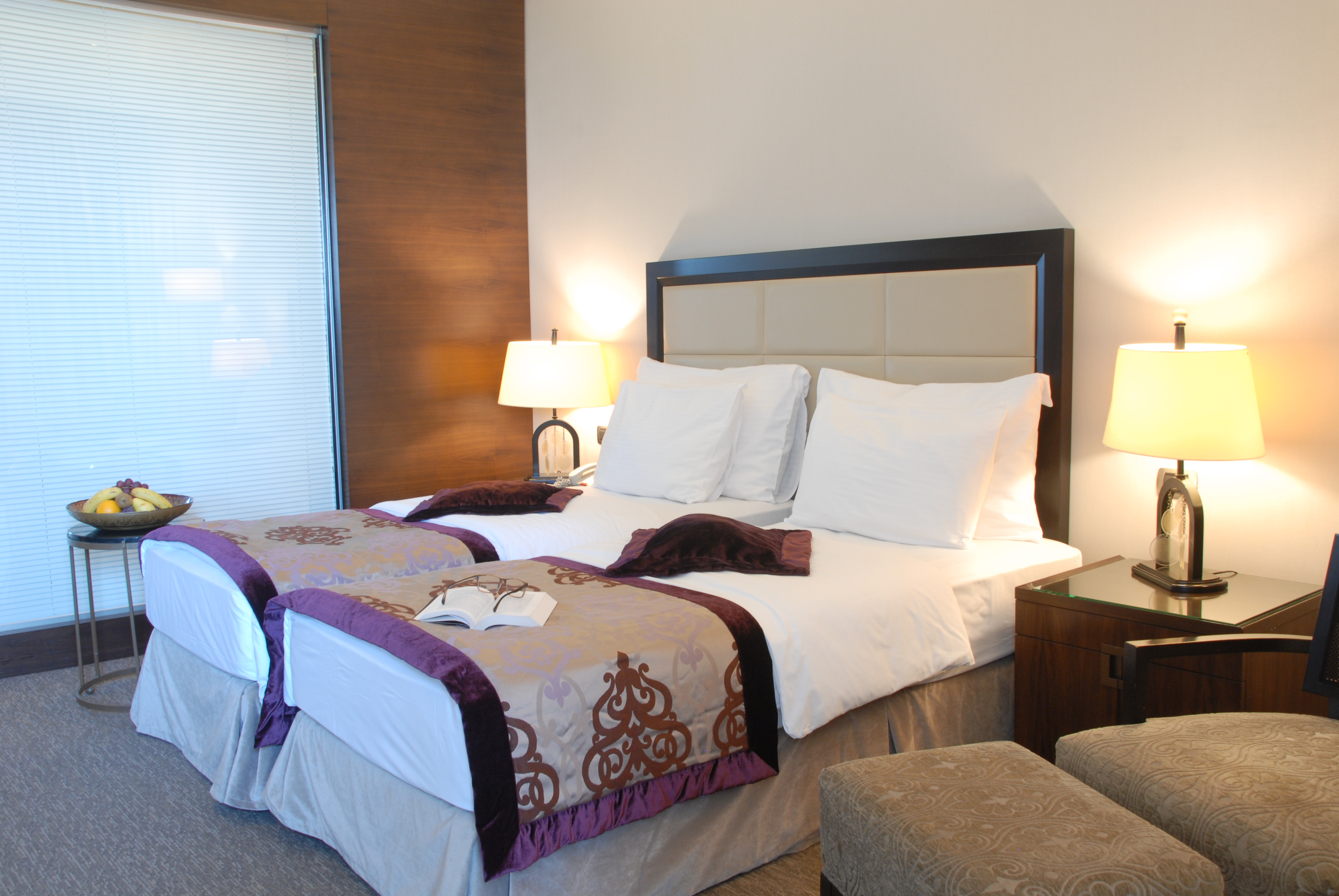 Double or Twin Superior