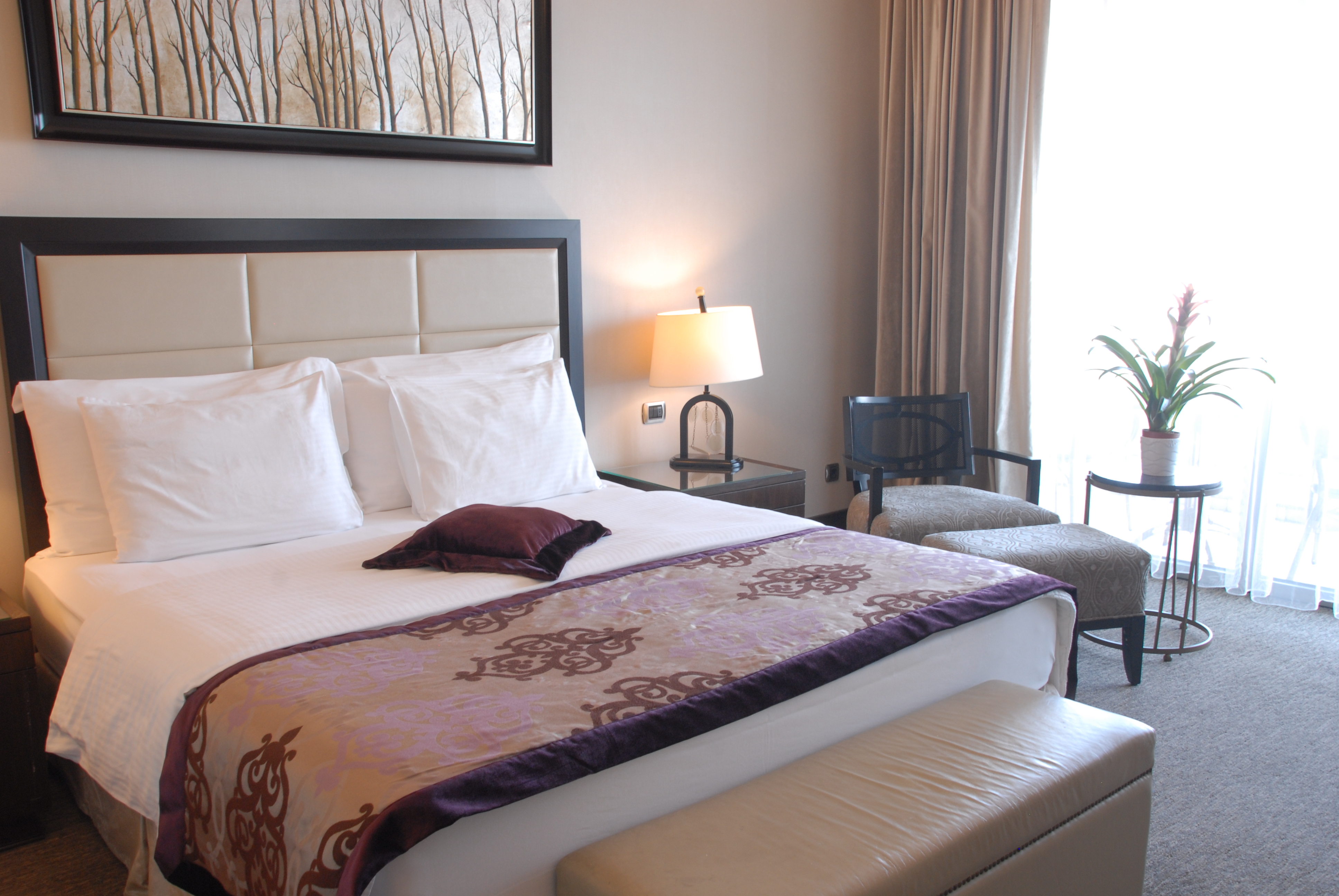 Double or Twin Superior