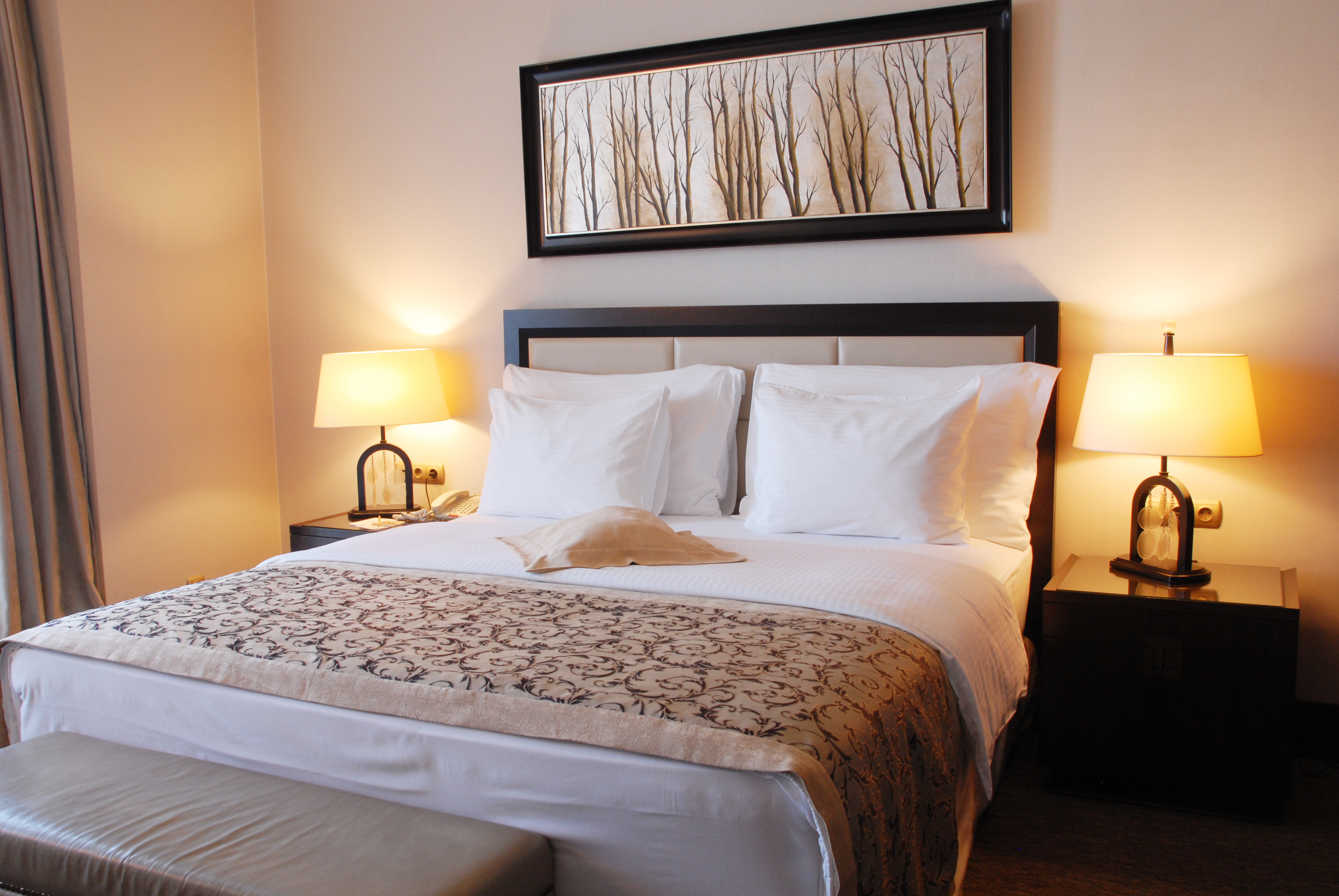 Junior Suite Standard