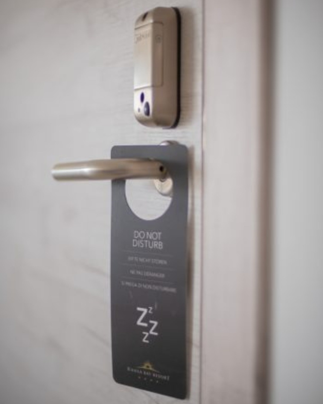 Double or Twin Deluxe Land View