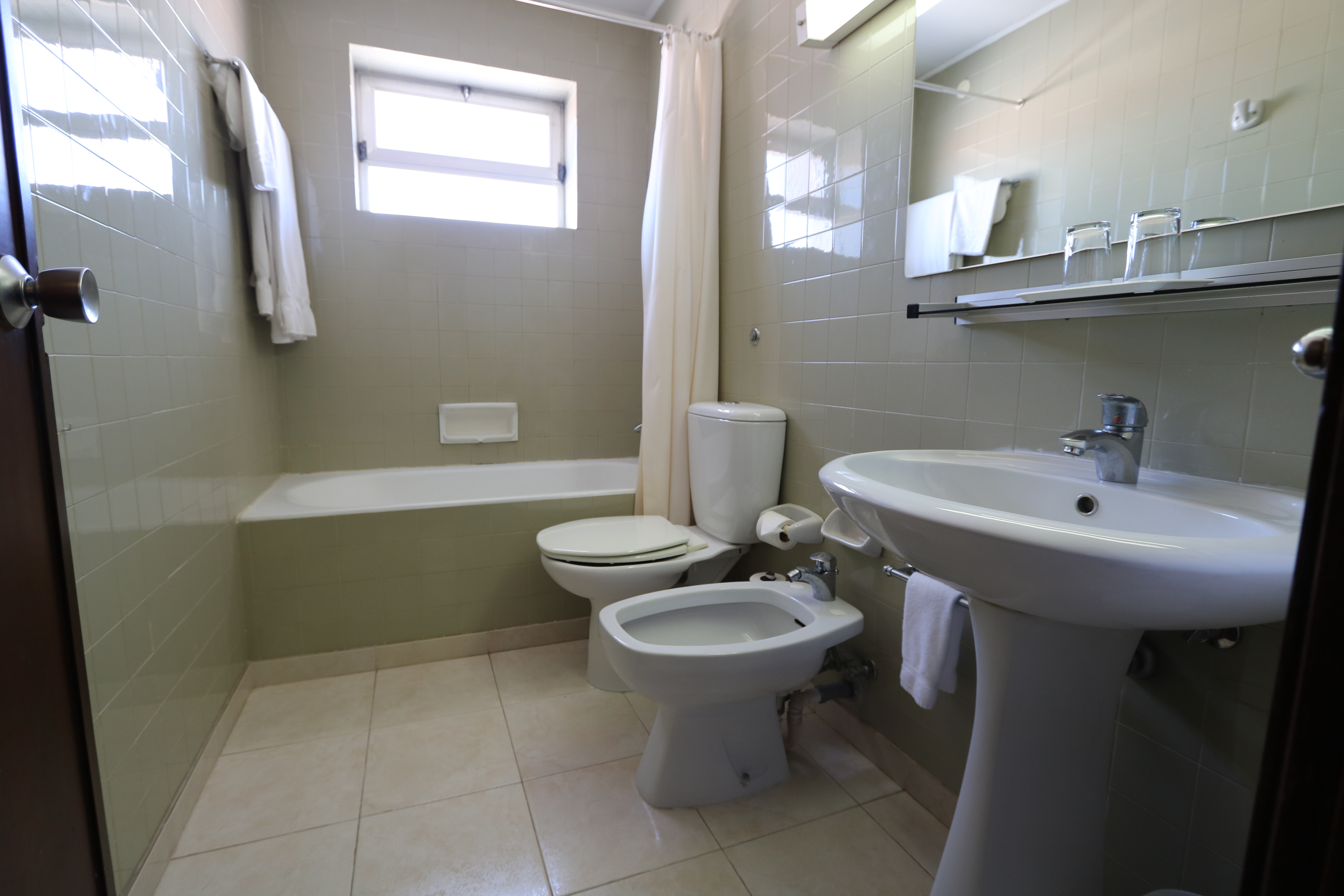 Double or Twin Economy