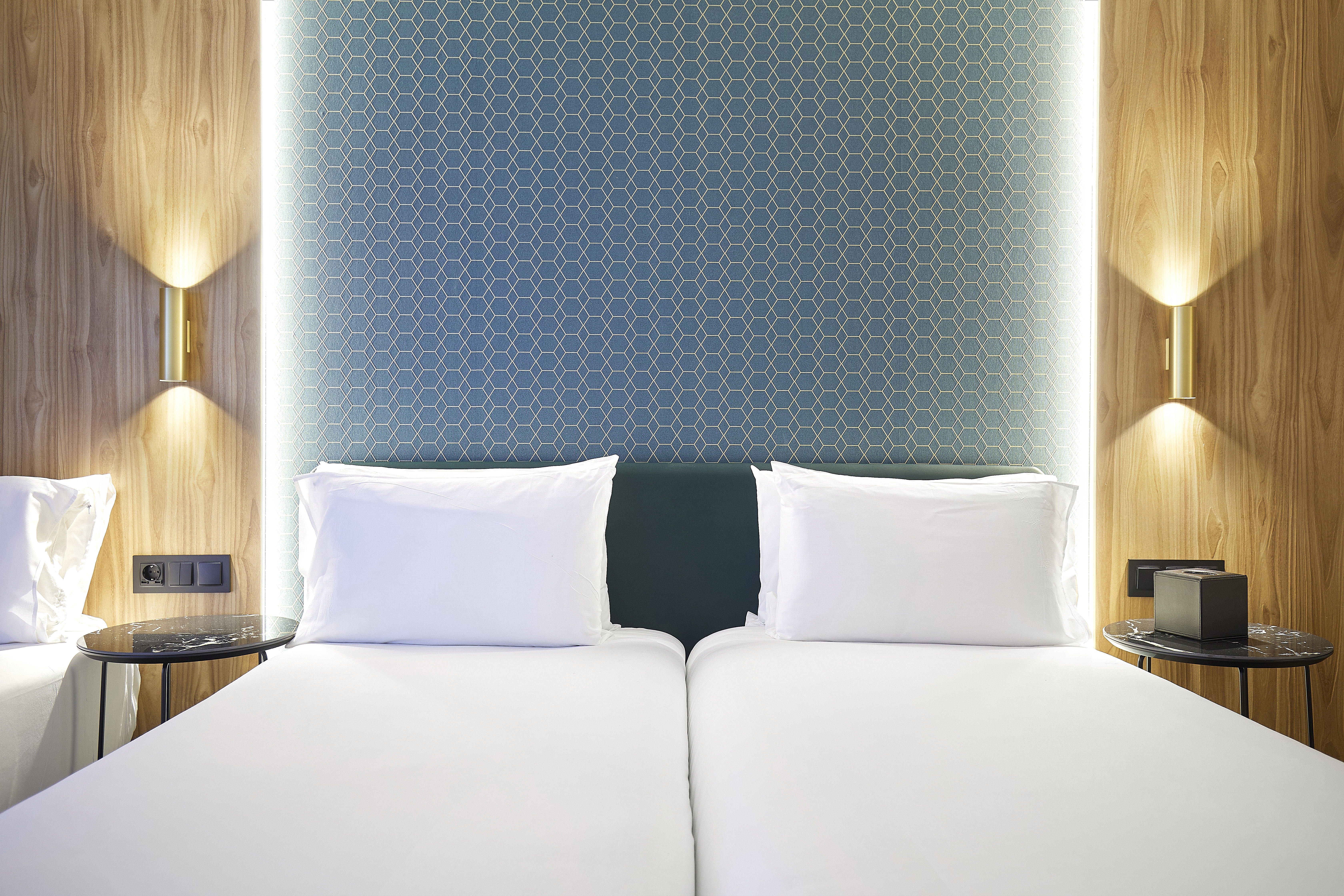 Double or Twin Economy