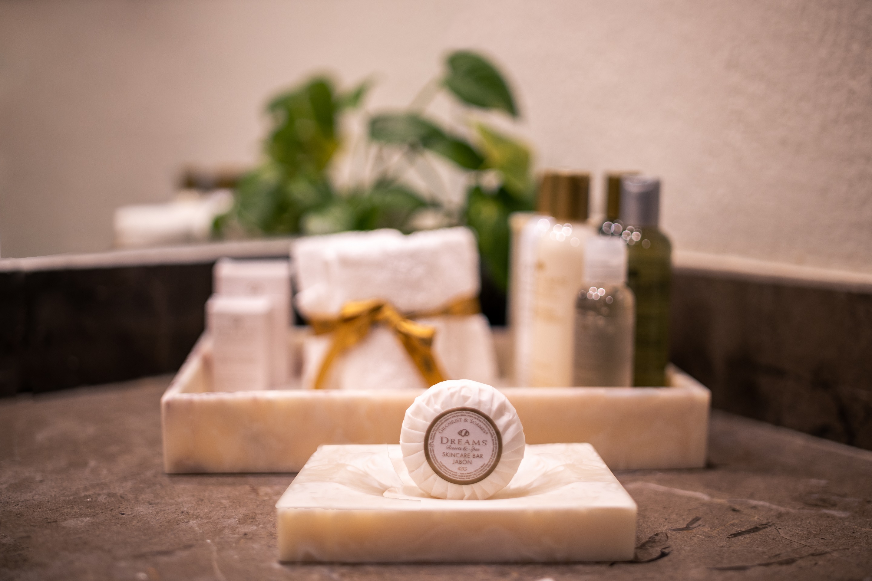 Double Deluxe Garden View