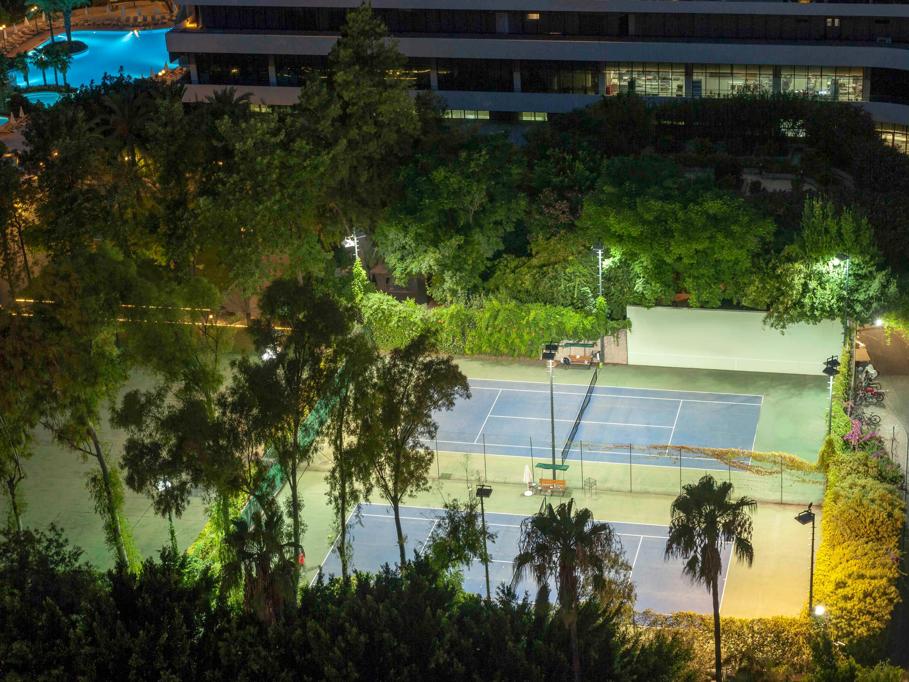 Sports and Entertainment