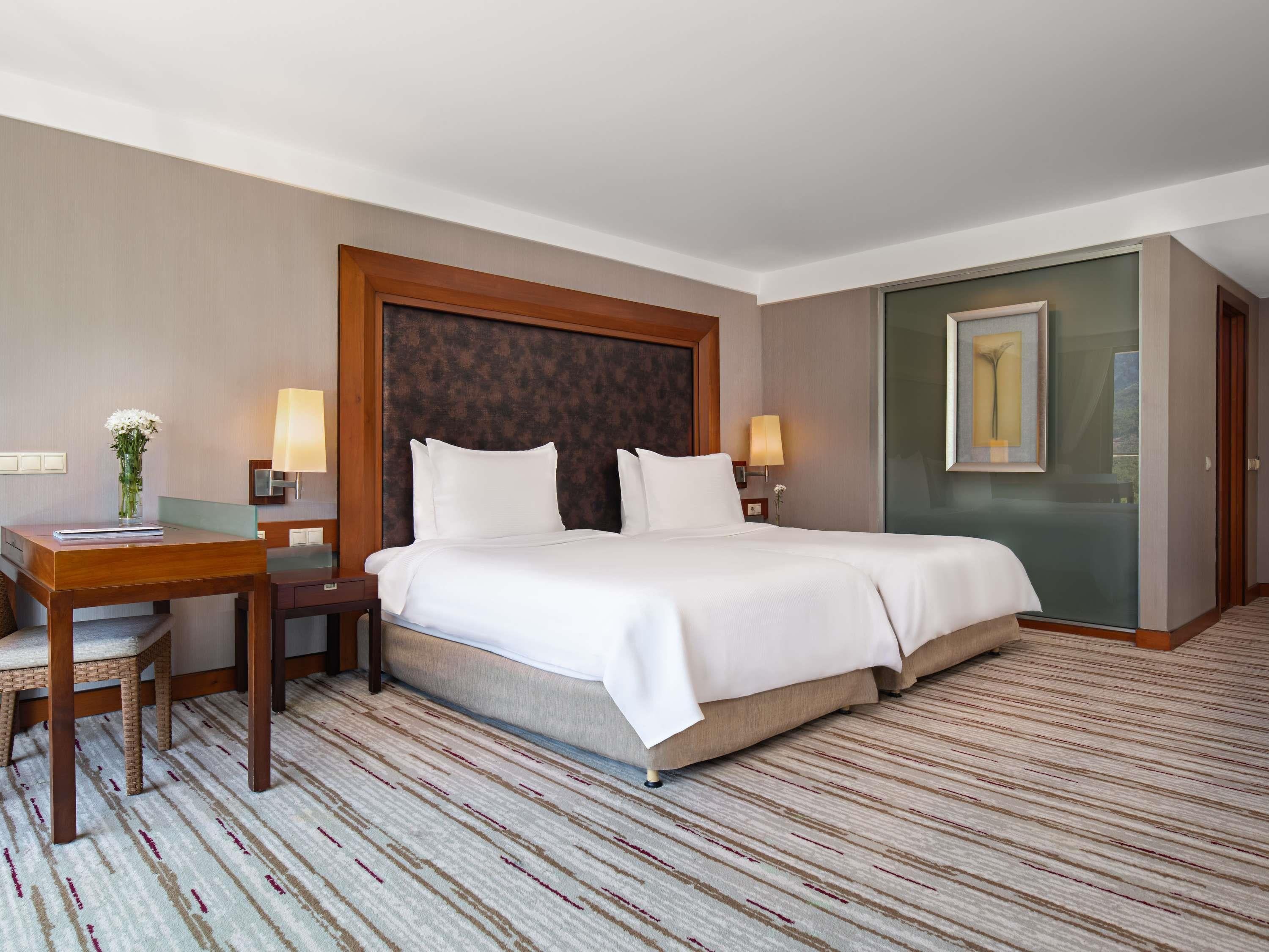 Double Mountain View