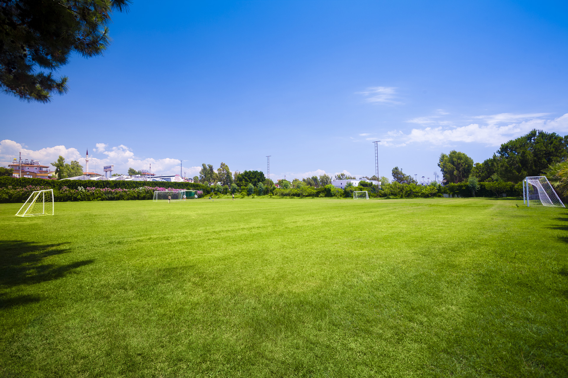 Sports and Entertainment