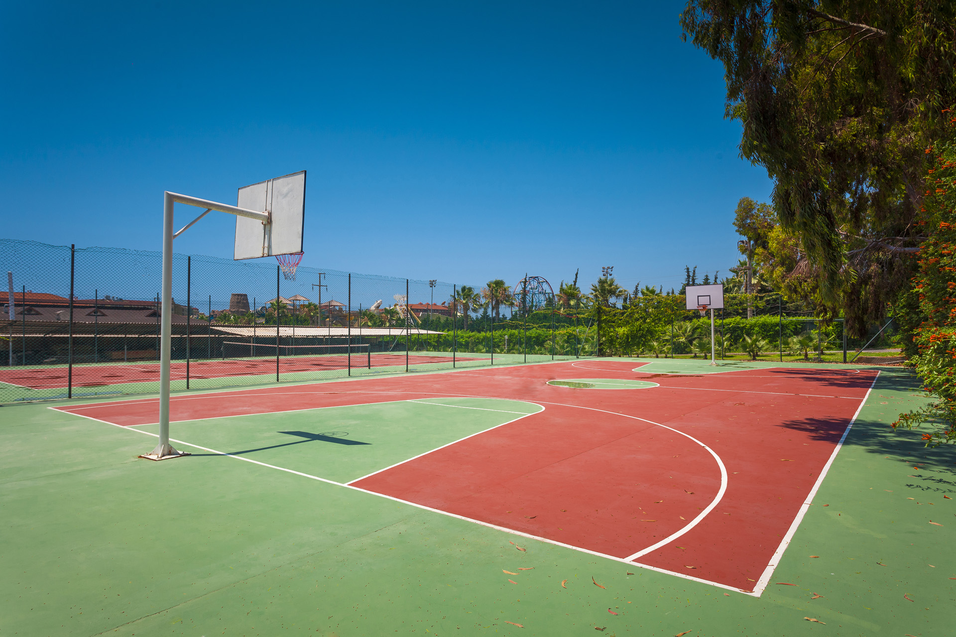 Sports and Entertainment