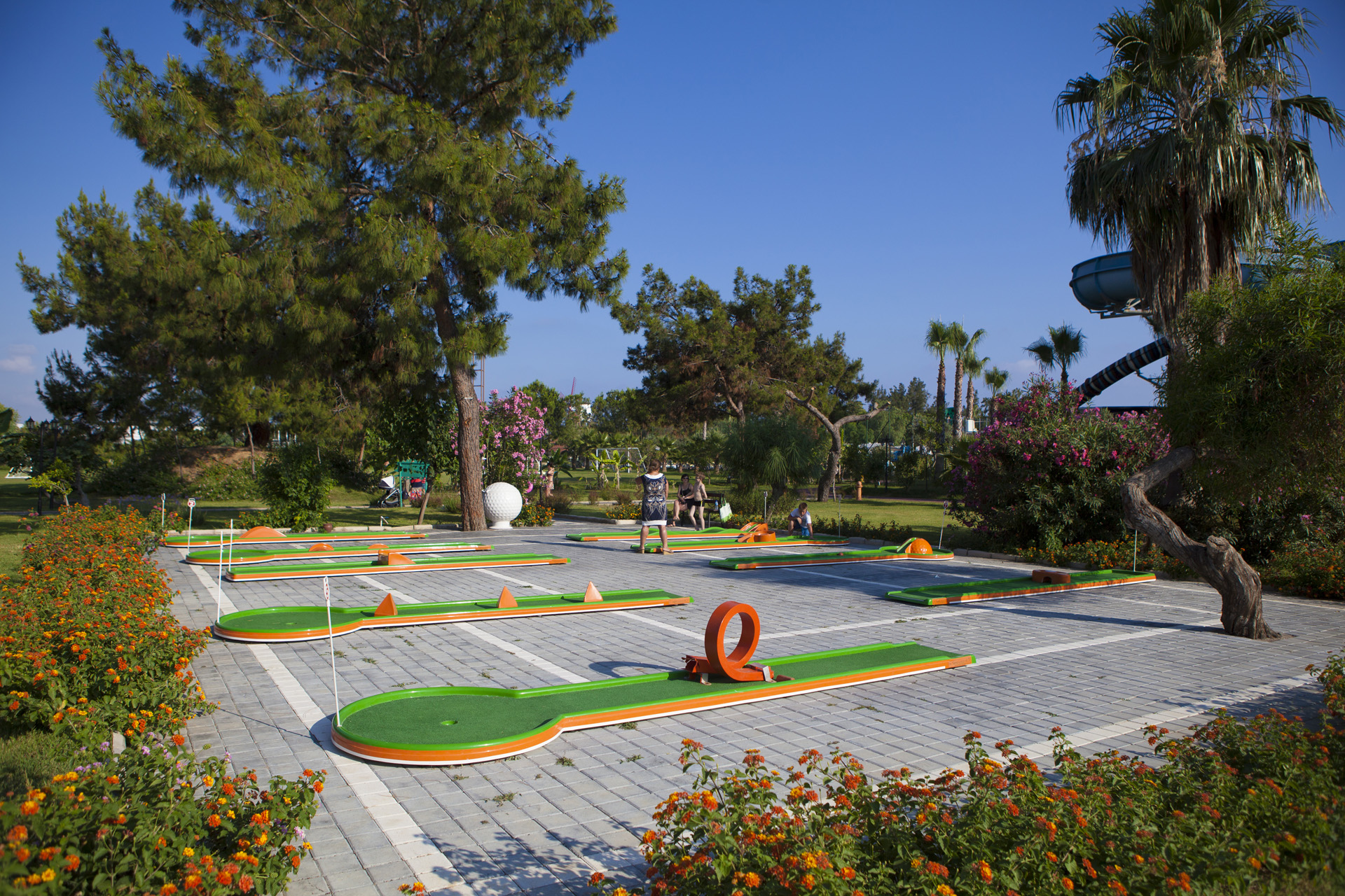 Sports and Entertainment