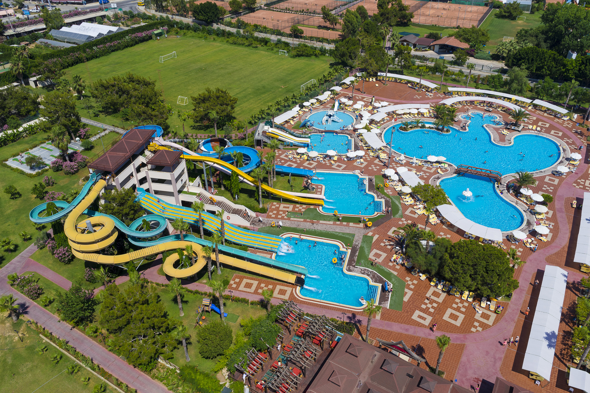 Sports and Entertainment