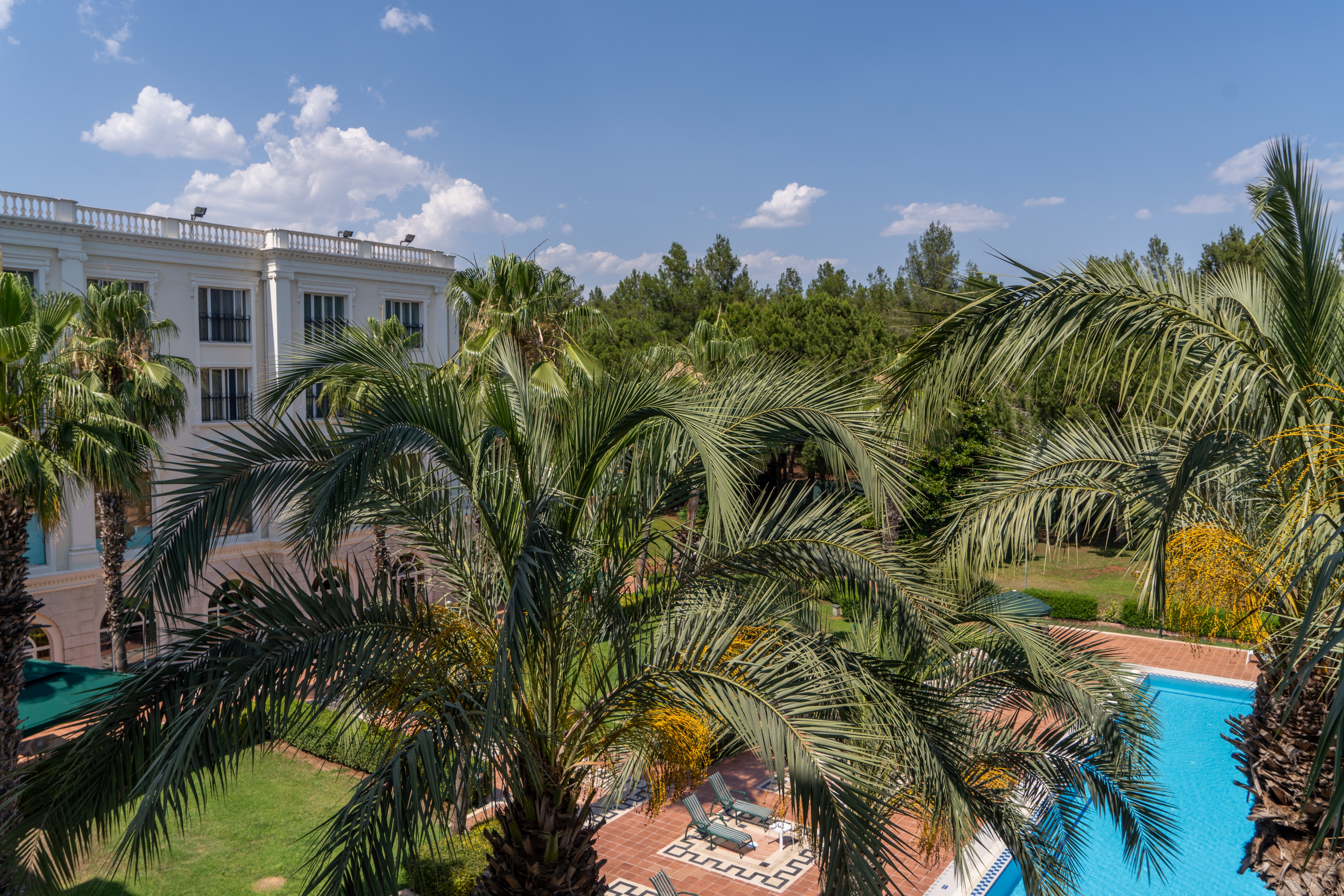 Double Single Standard